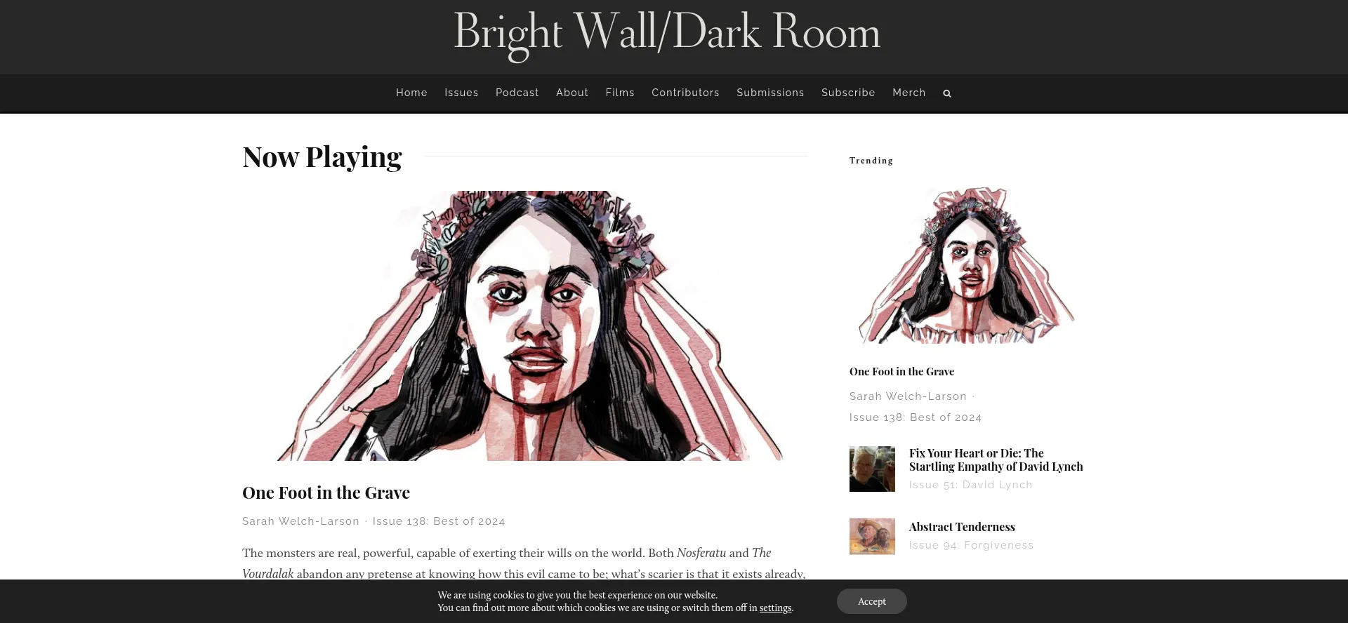 Brightwalldarkroom.com