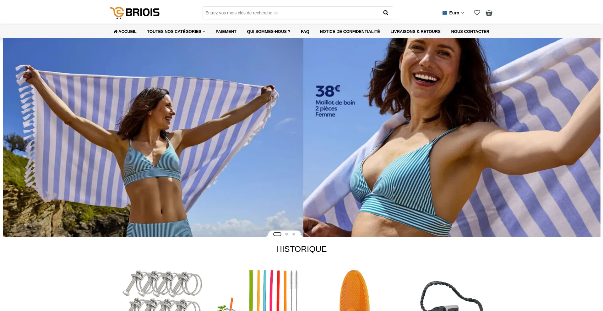 Website screenshot of Briois.net