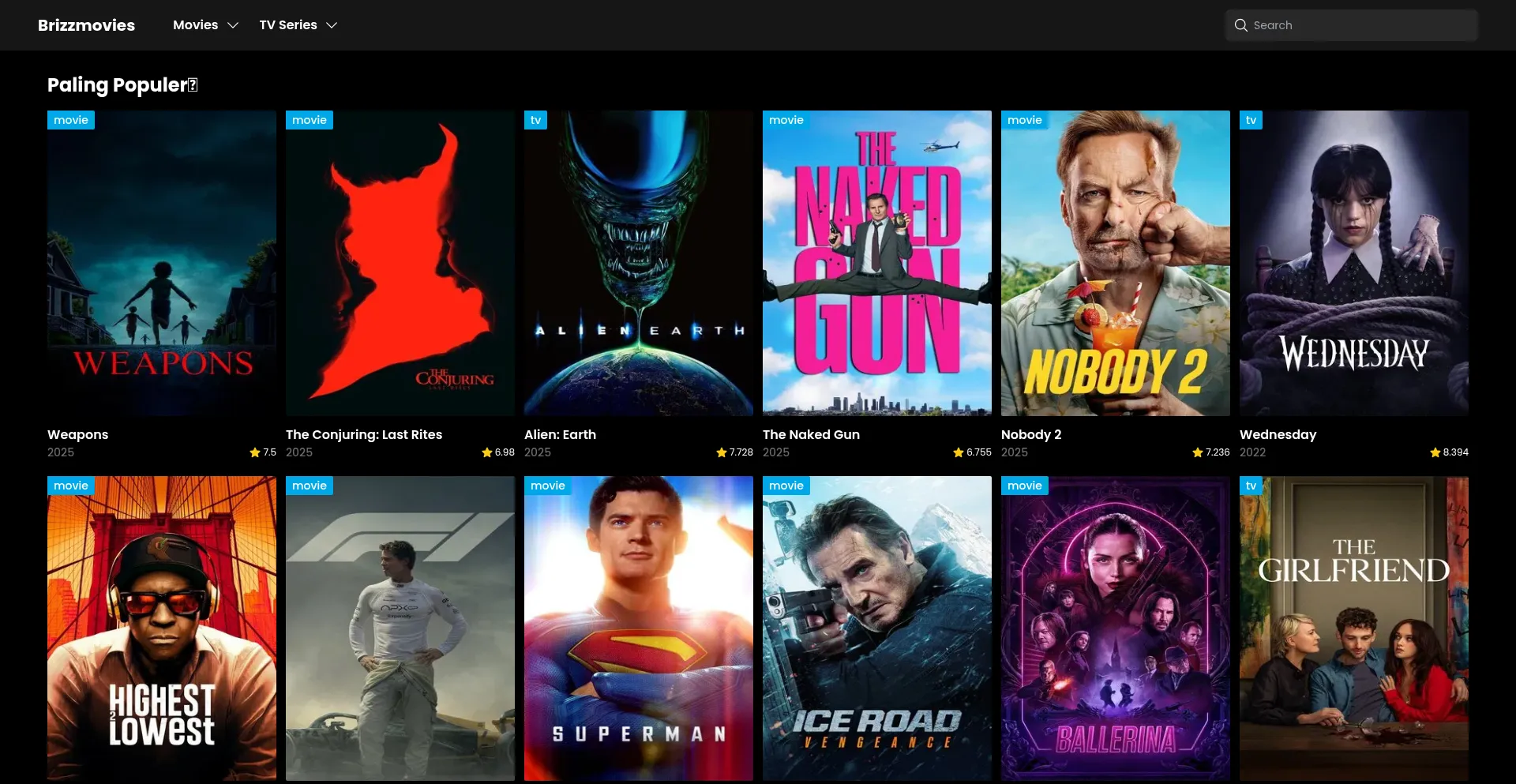 Ist Brizzmovies.com sicher und vertrauenswürdig?