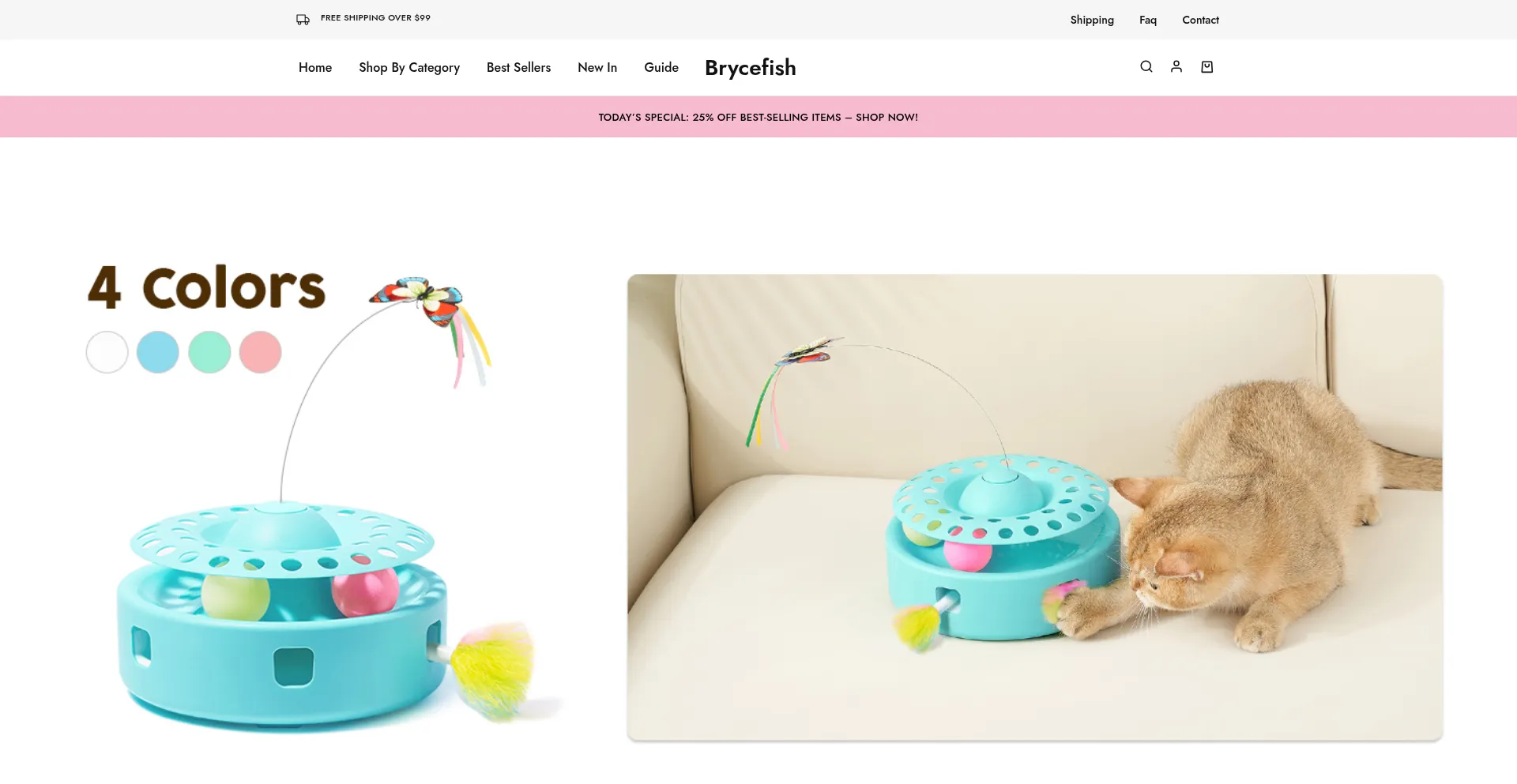 Brycefish.com