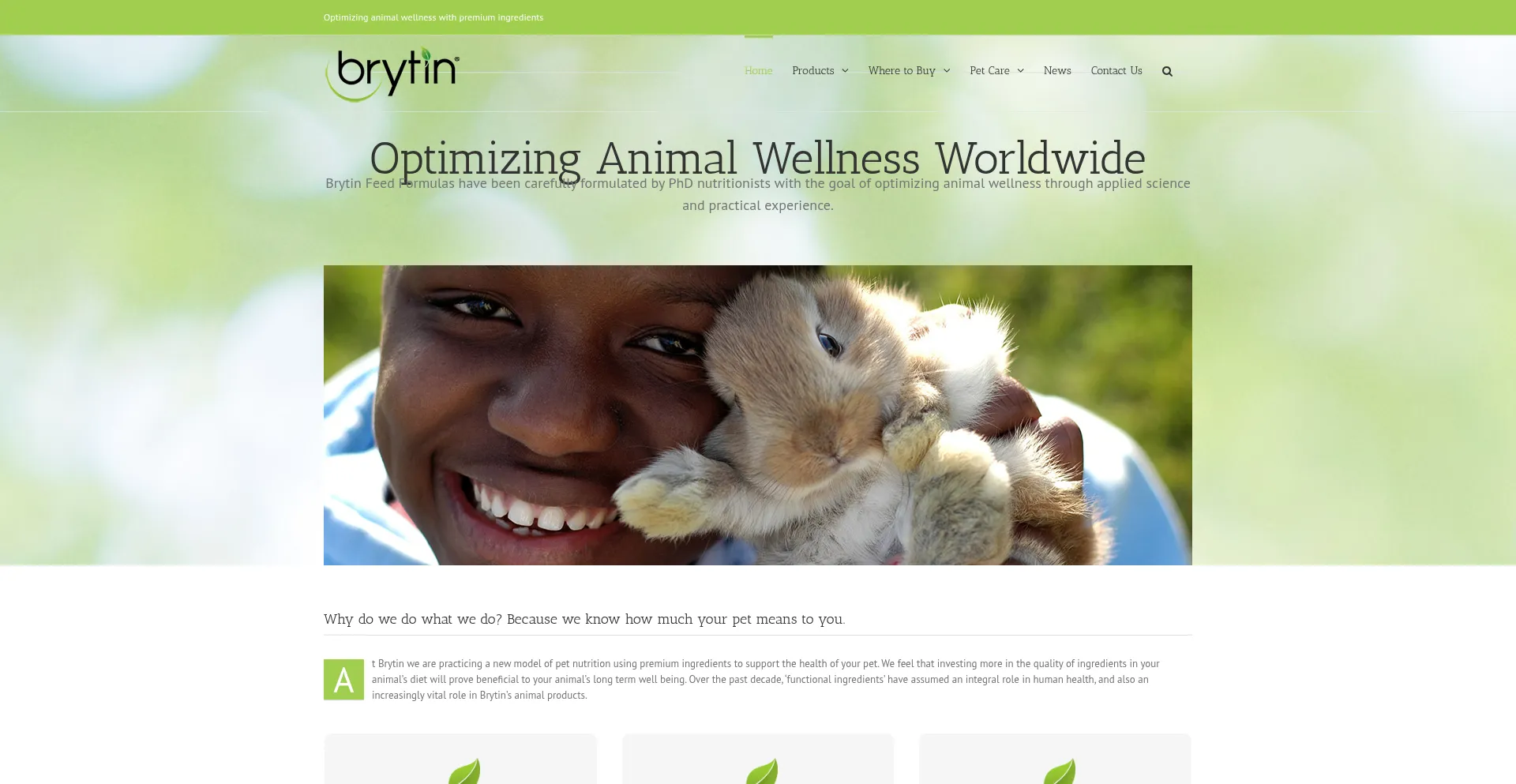 Brytinproducts.com