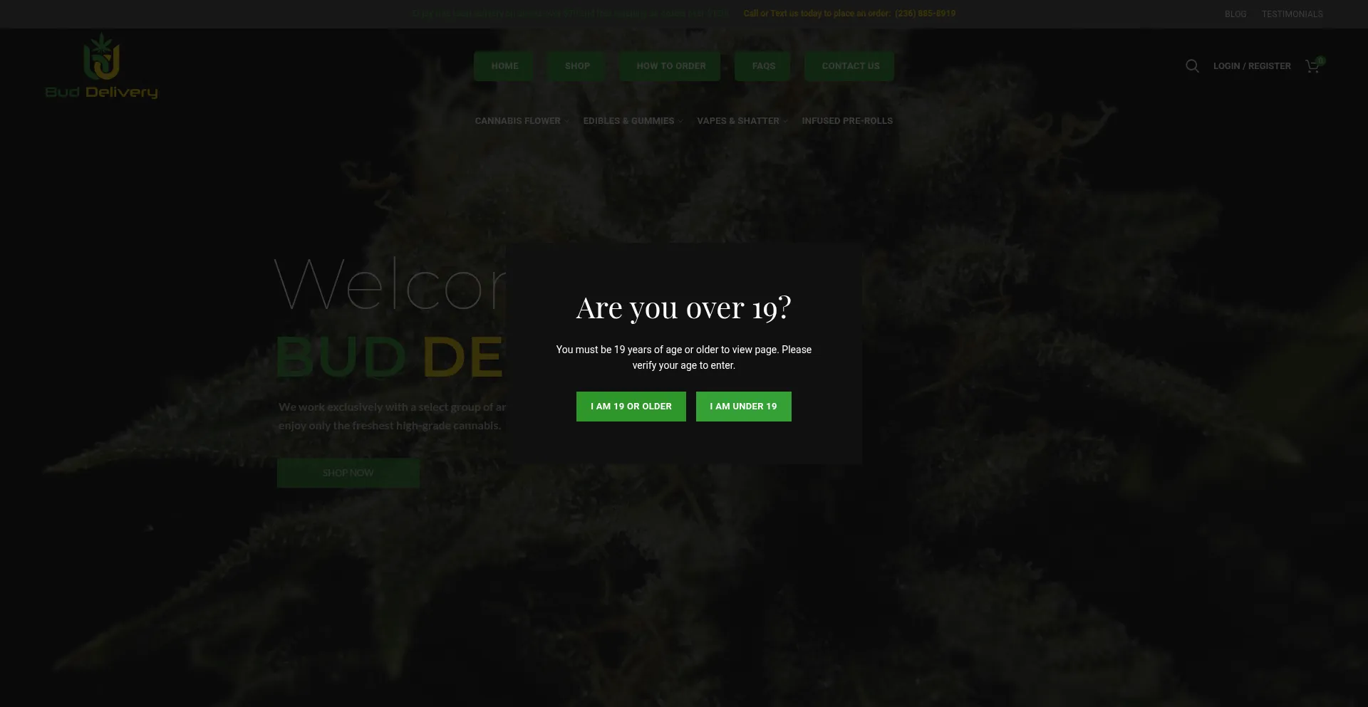 Website screenshot of Buddelivery.shop