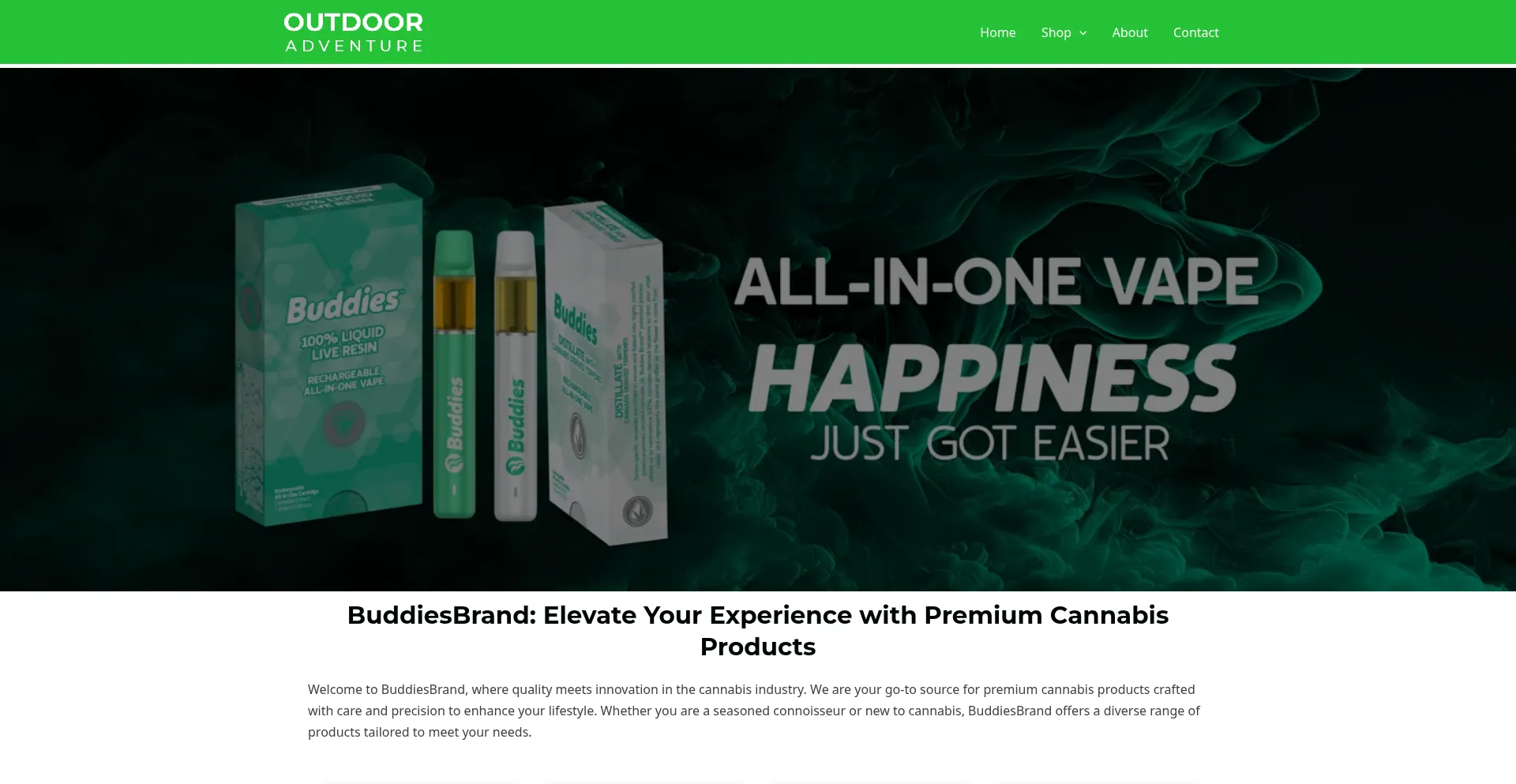 Ist Buddiesbrands.us sicher und vertrauenswürdig?