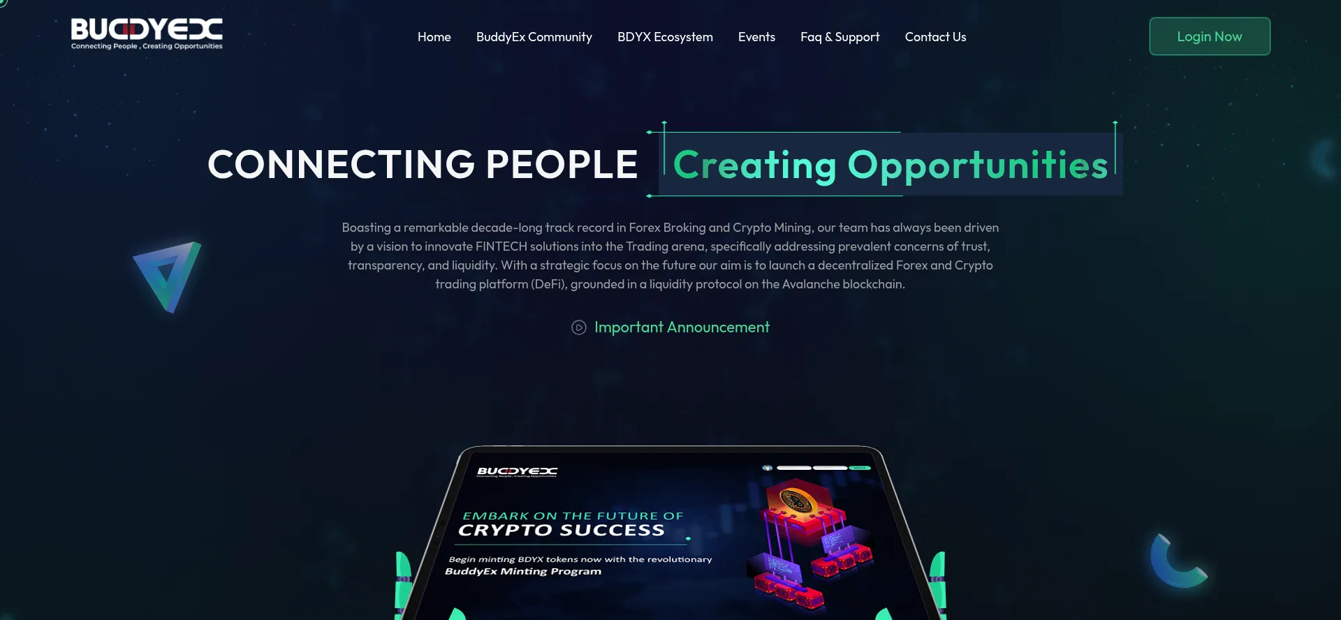 Website screenshot of Buddyex.com