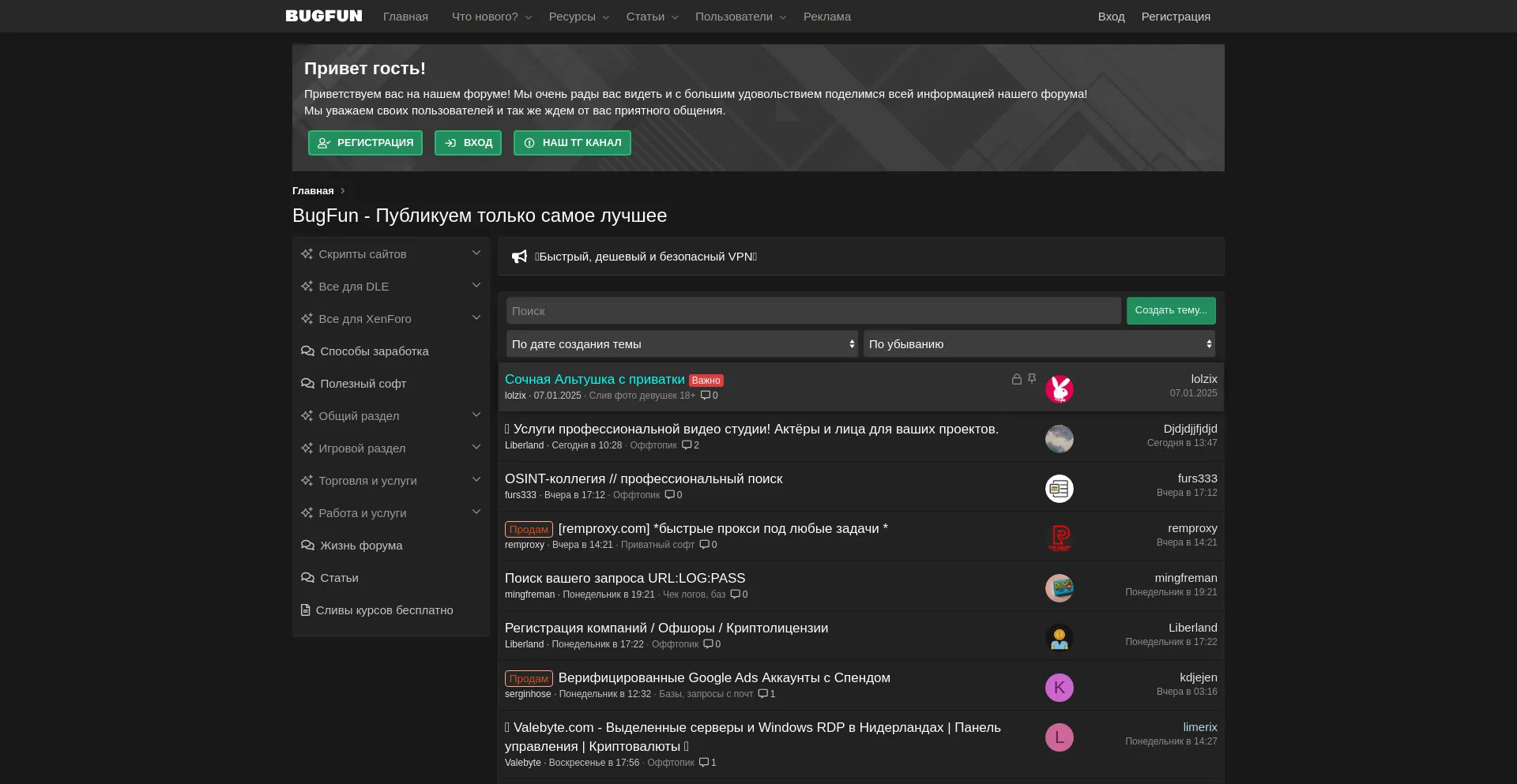 Website screenshot of Bugfun.site