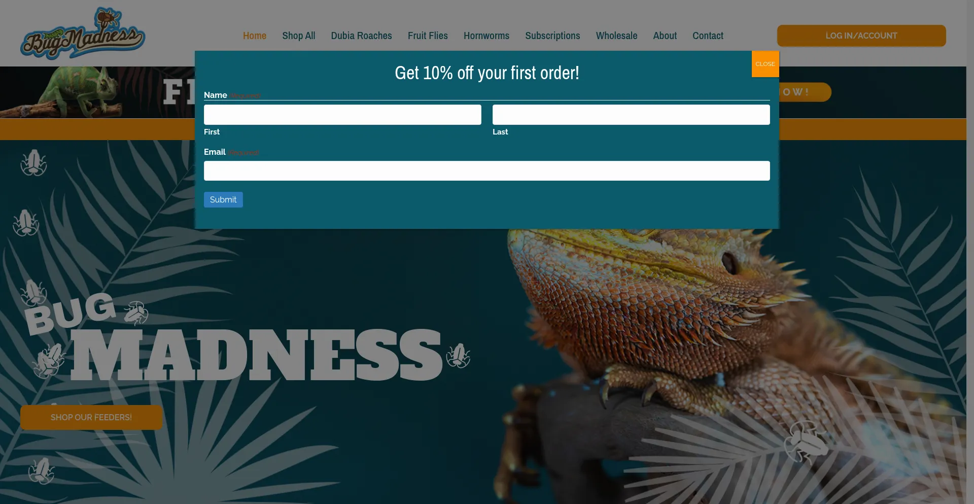 Bugmadness.com