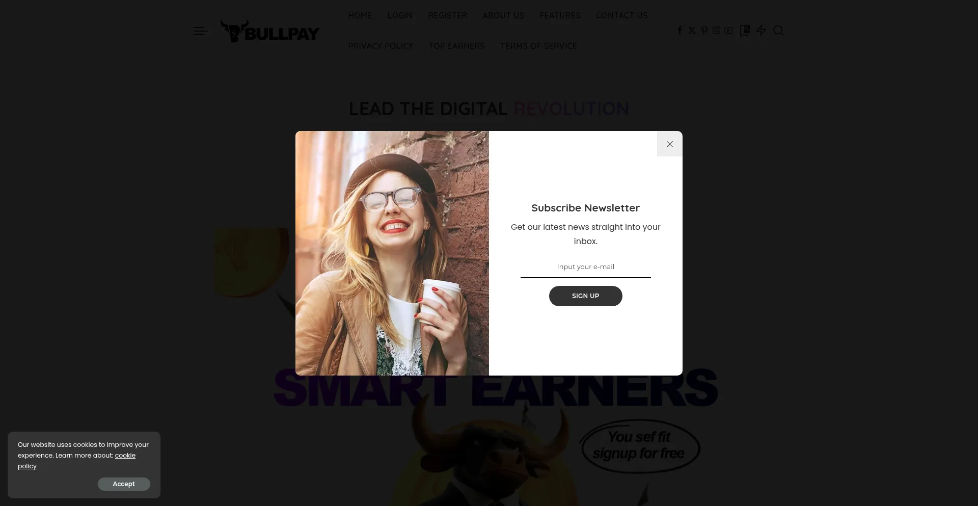 Website screenshot of Bullpay.buzz
