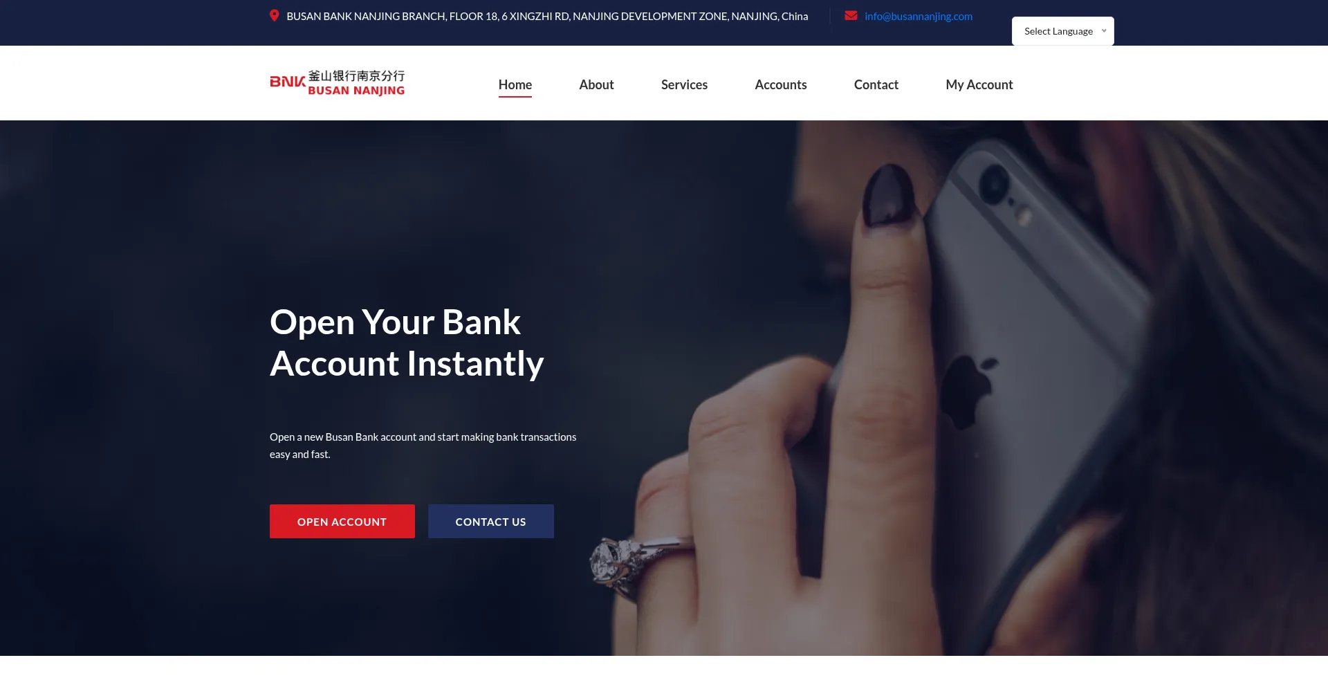 Website screenshot of Busannanjing.com