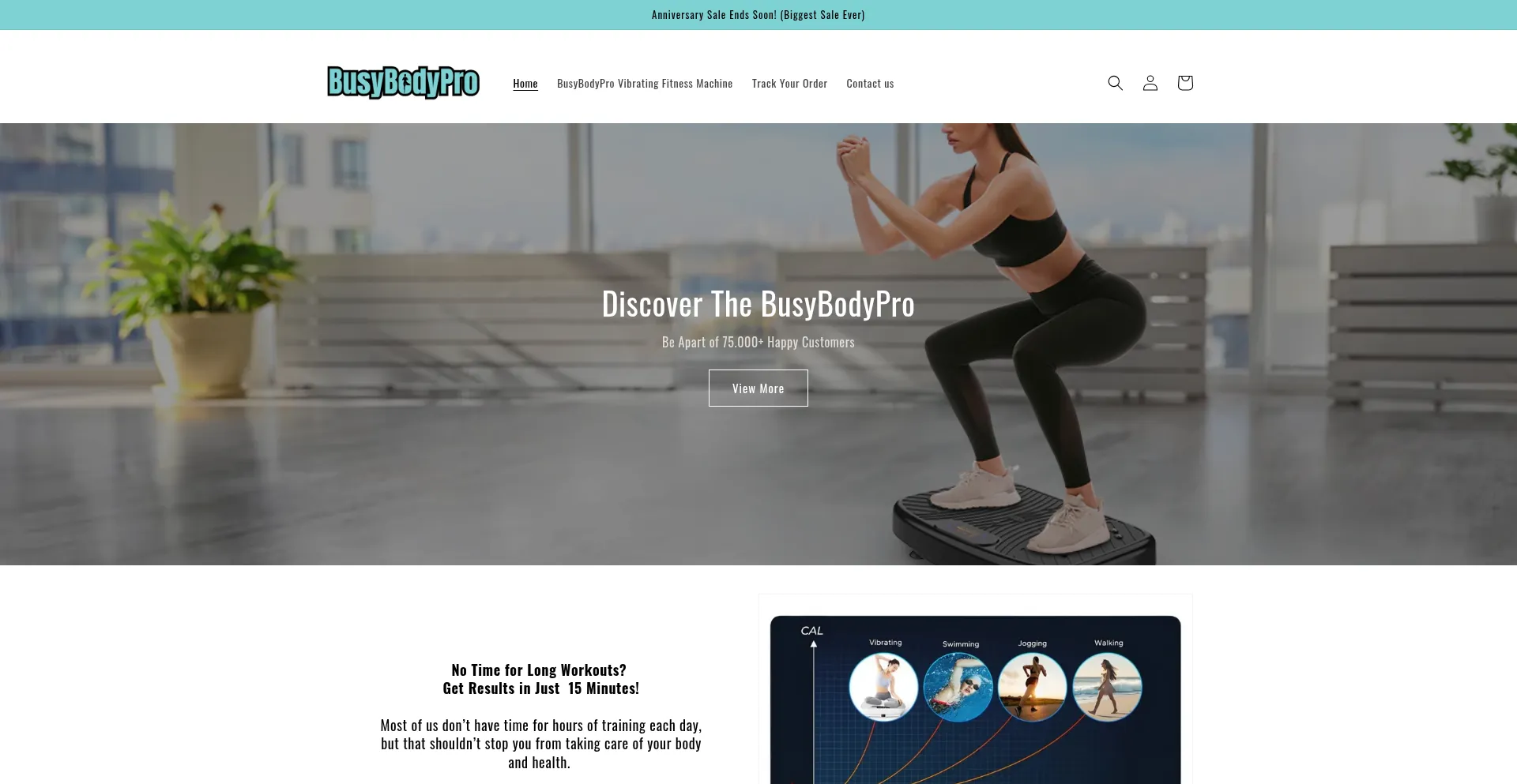 Website screenshot of Busybodypro.co.uk