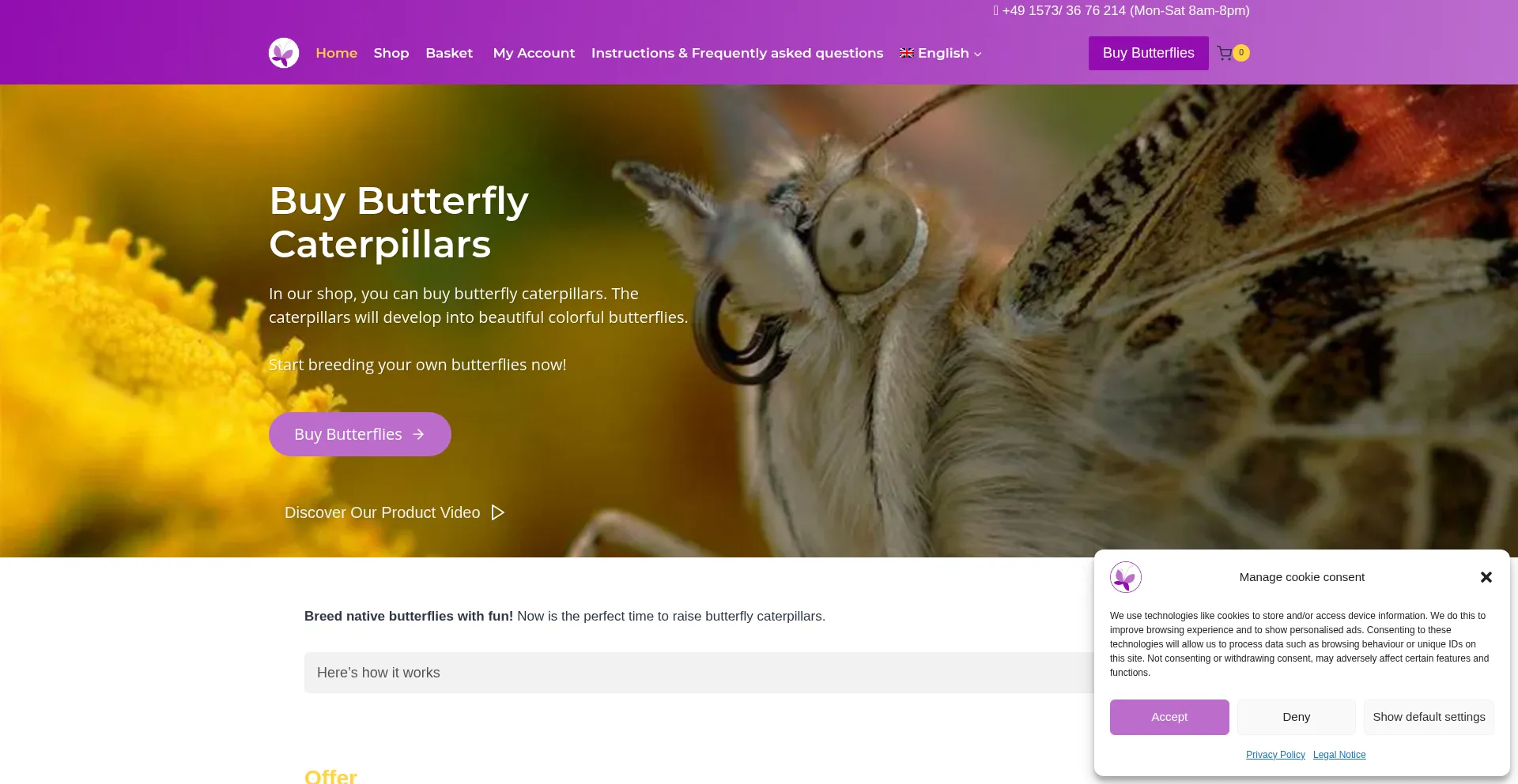 Buy-butterflies.com