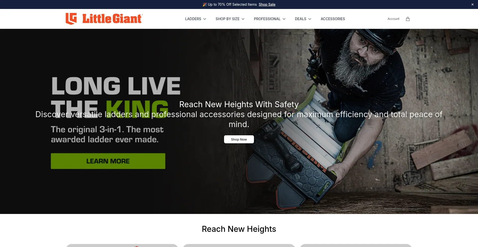 Buylittlegiantladder.shop