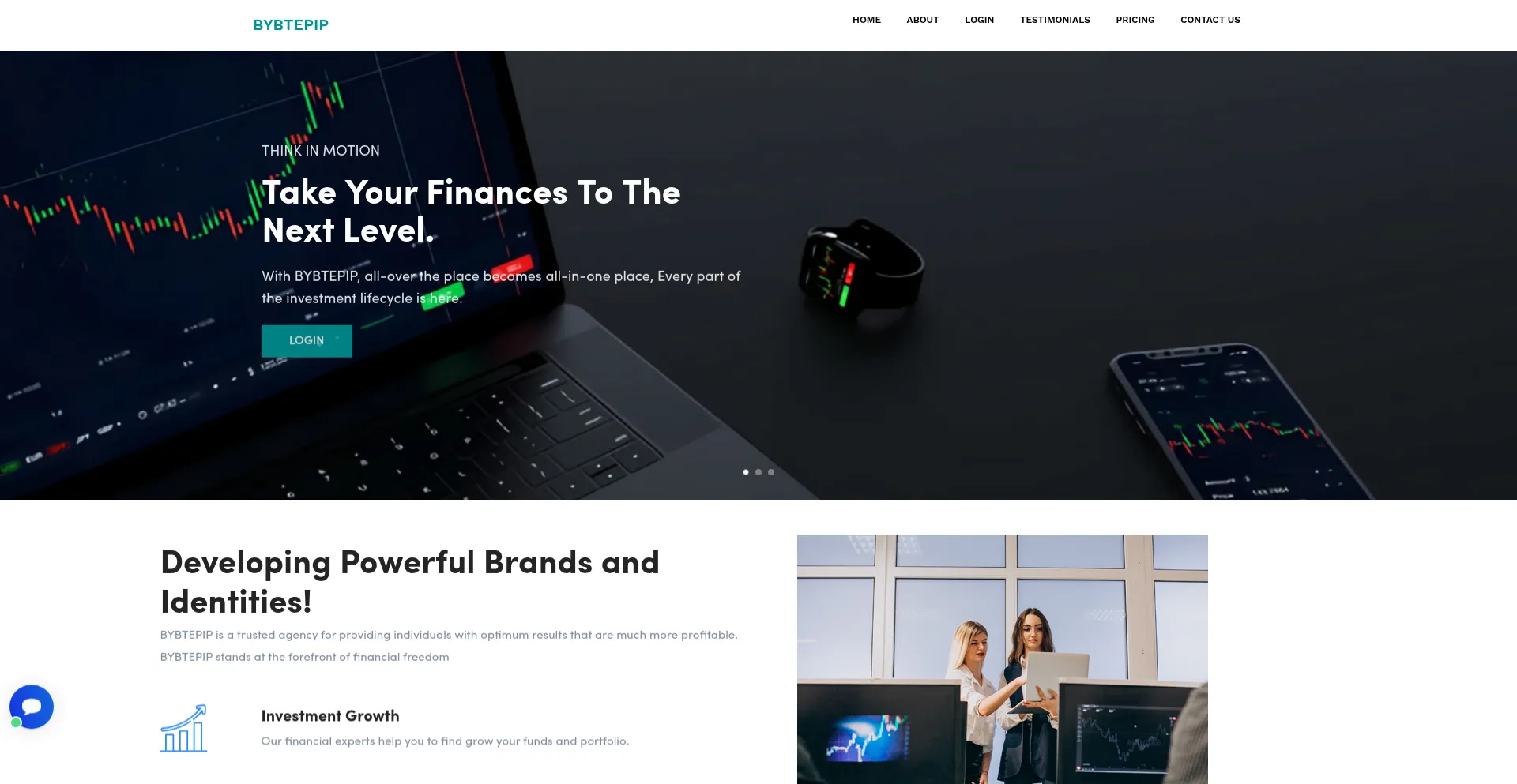 Website screenshot of Bybtepip.com