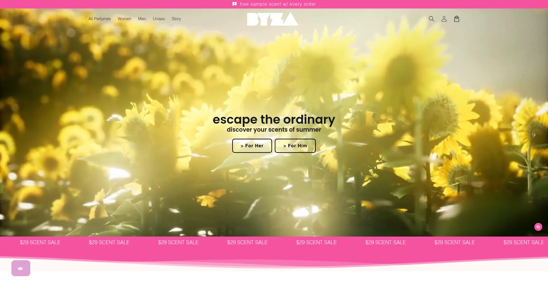 Website screenshot of Byza.com