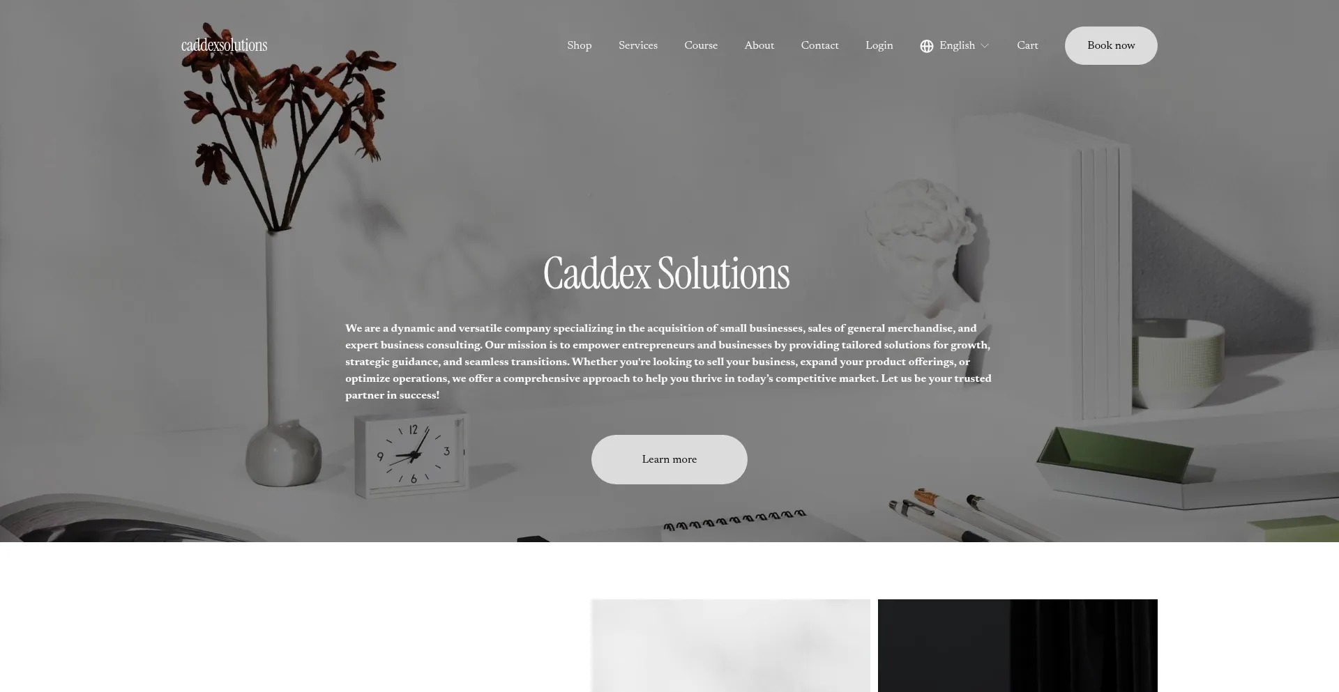 Ist Caddexsolutionsllc.com sicher und vertrauenswürdig?