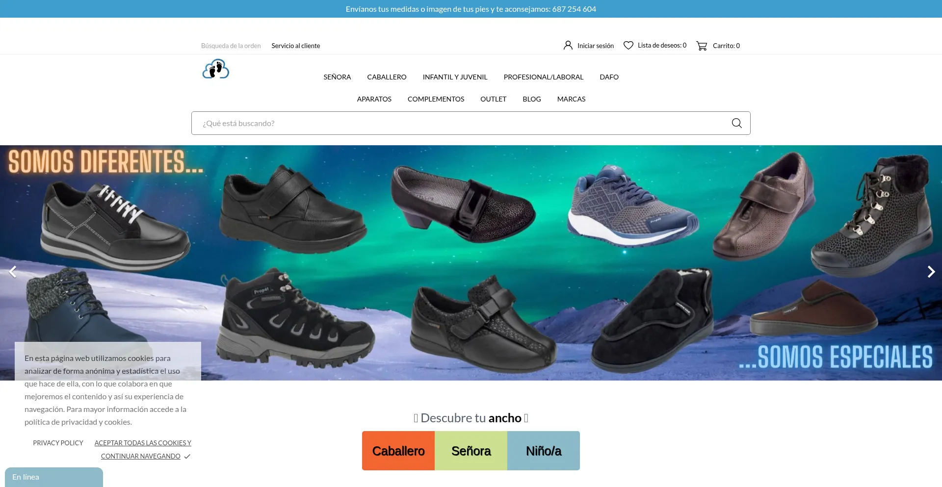 Website screenshot of Calzadoparapiesespeciales.es