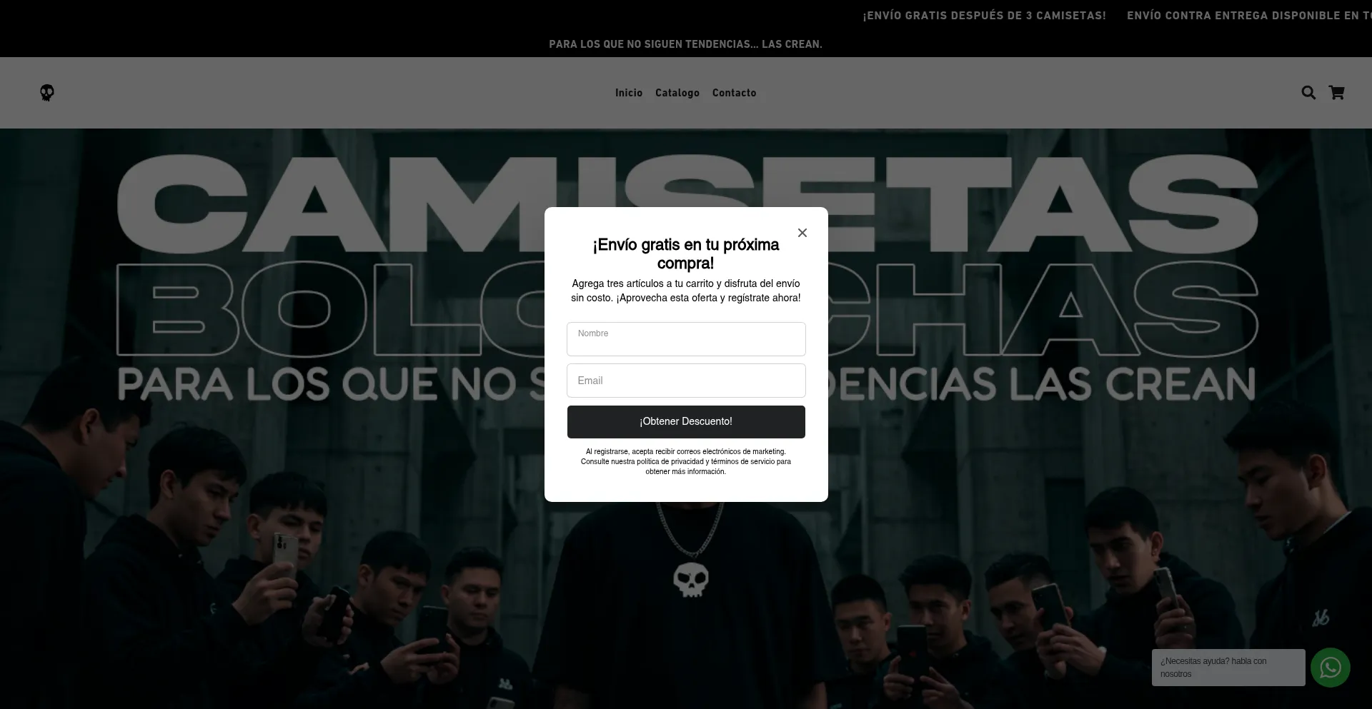 Website screenshot of Camisetasbolonchas.com