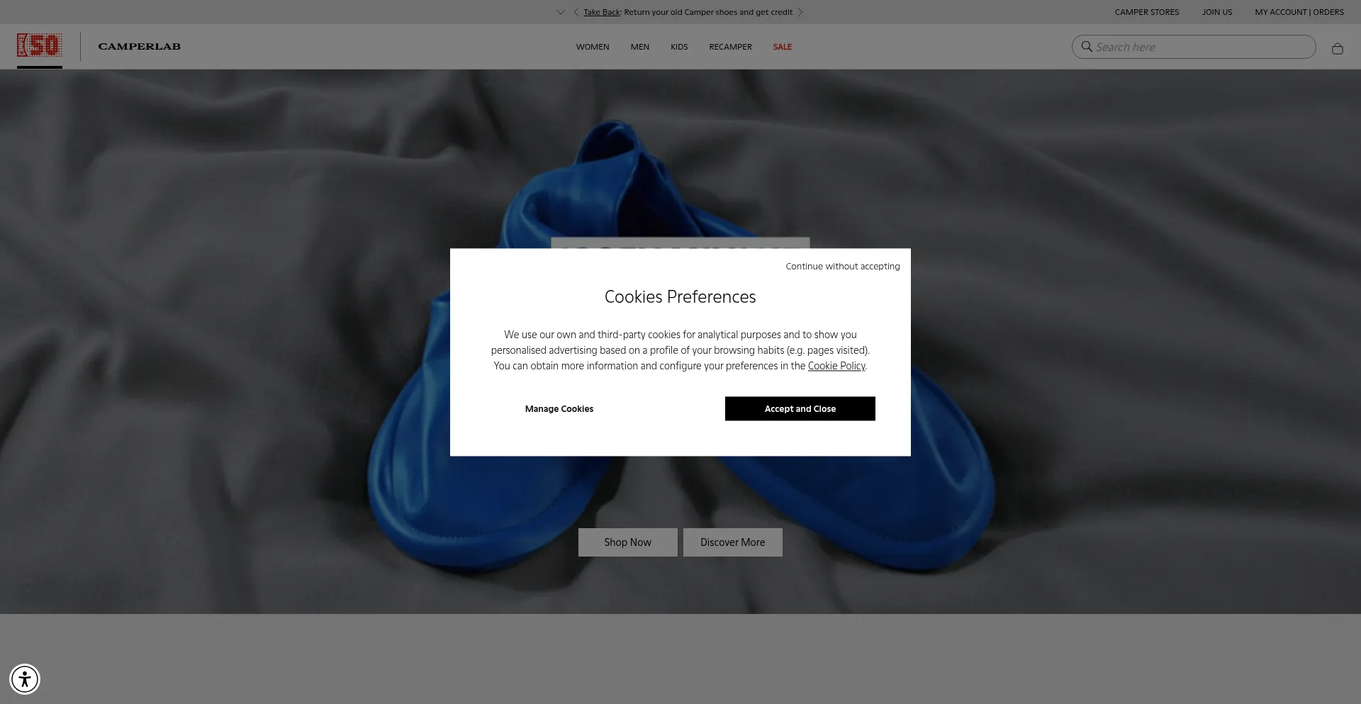 Website screenshot of Campesneakeronline.com