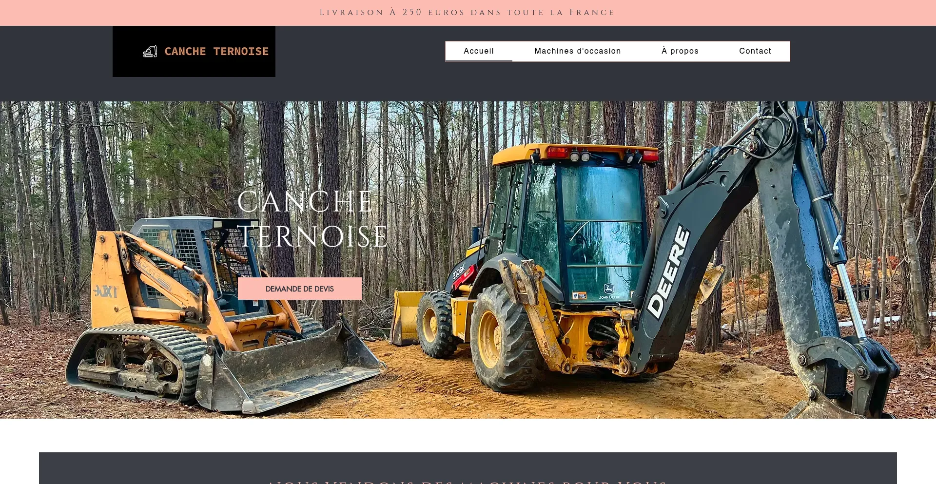 Website screenshot of Canche-ter.com