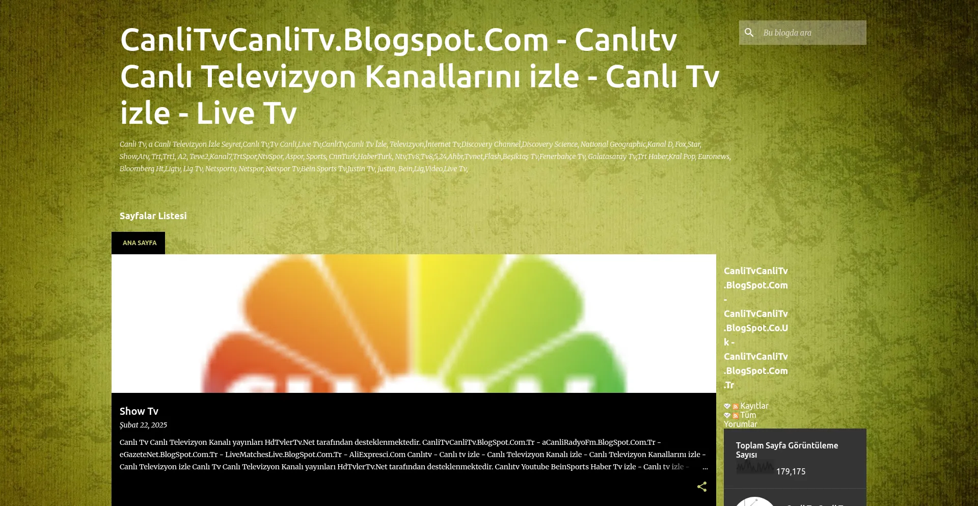 Website screenshot of Canlitvcanlitv.blogspot.com