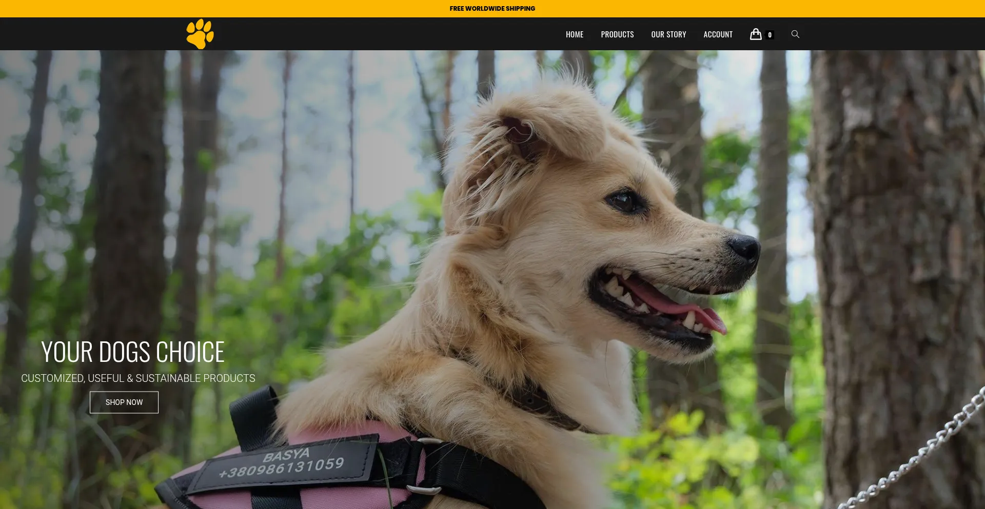 Website screenshot of Caredogbest.com