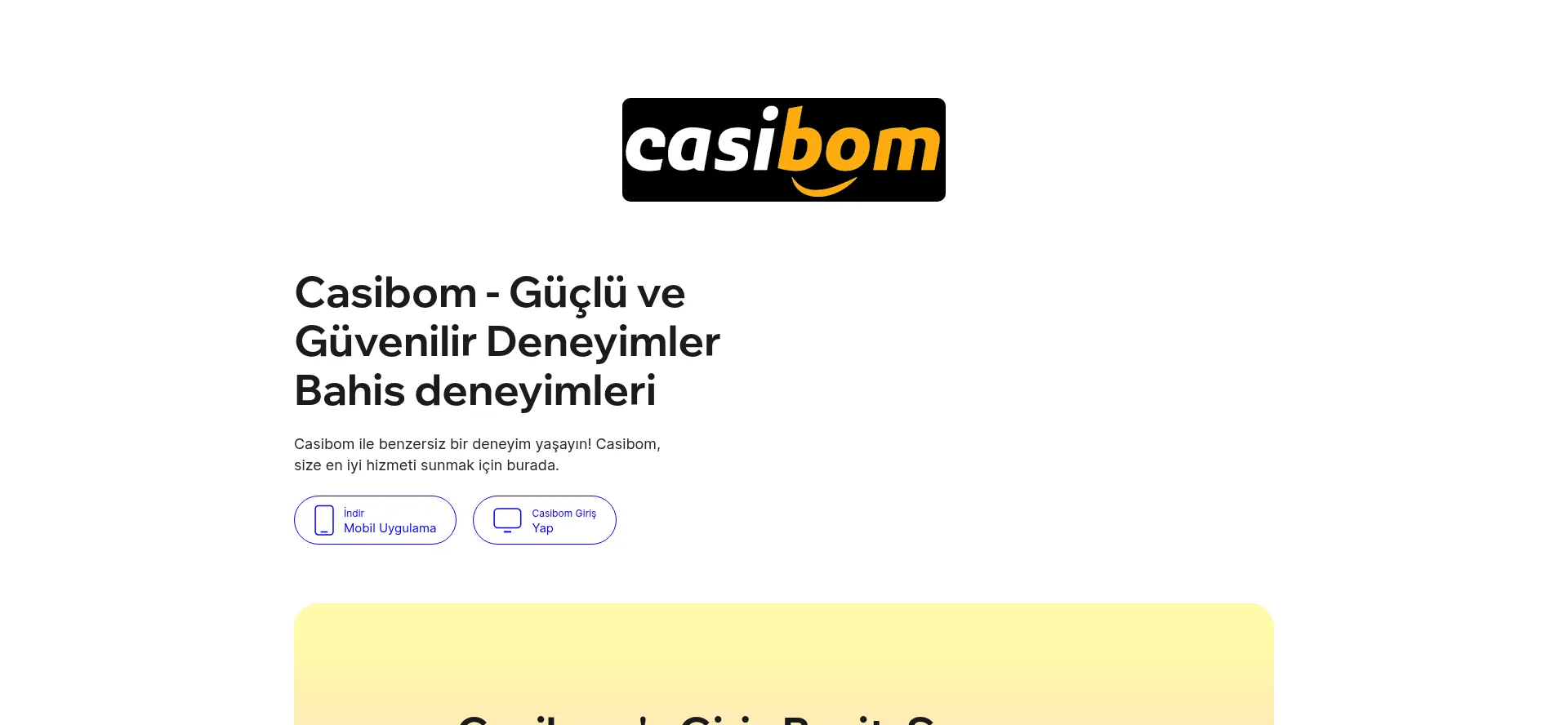 Casibomtr.net