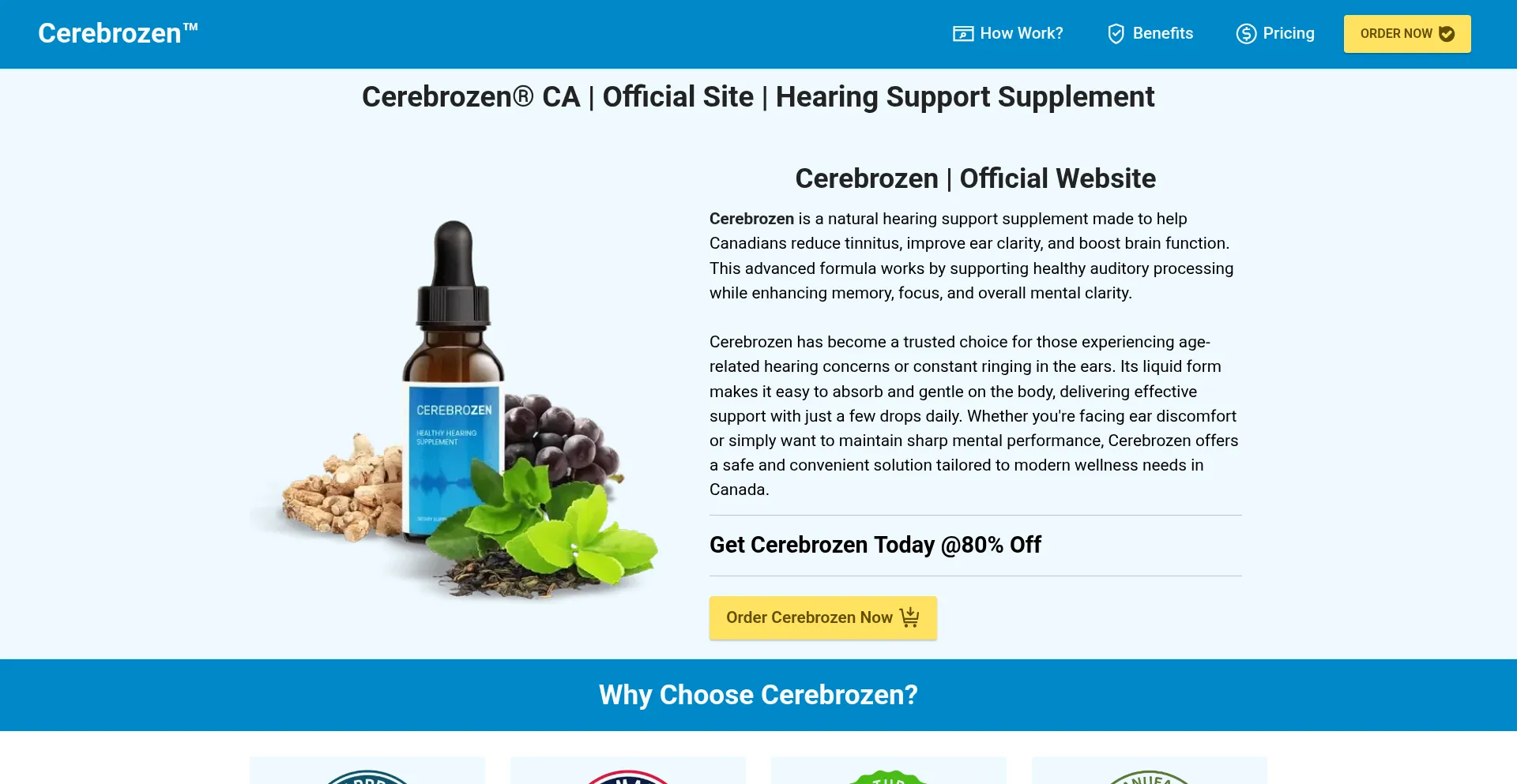 Website screenshot of Cerebrozen.ca