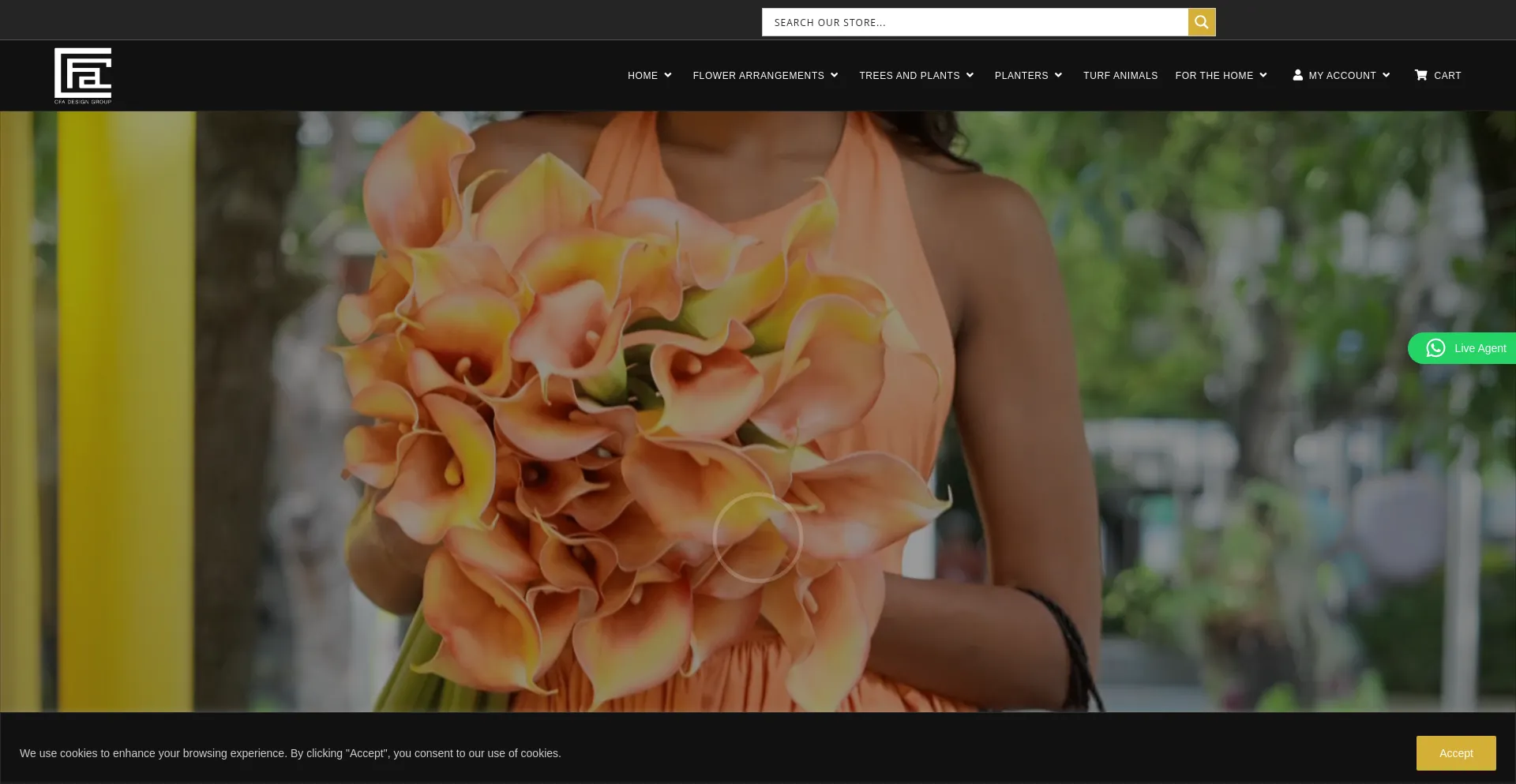 Website screenshot of Cfadesigngroup.com