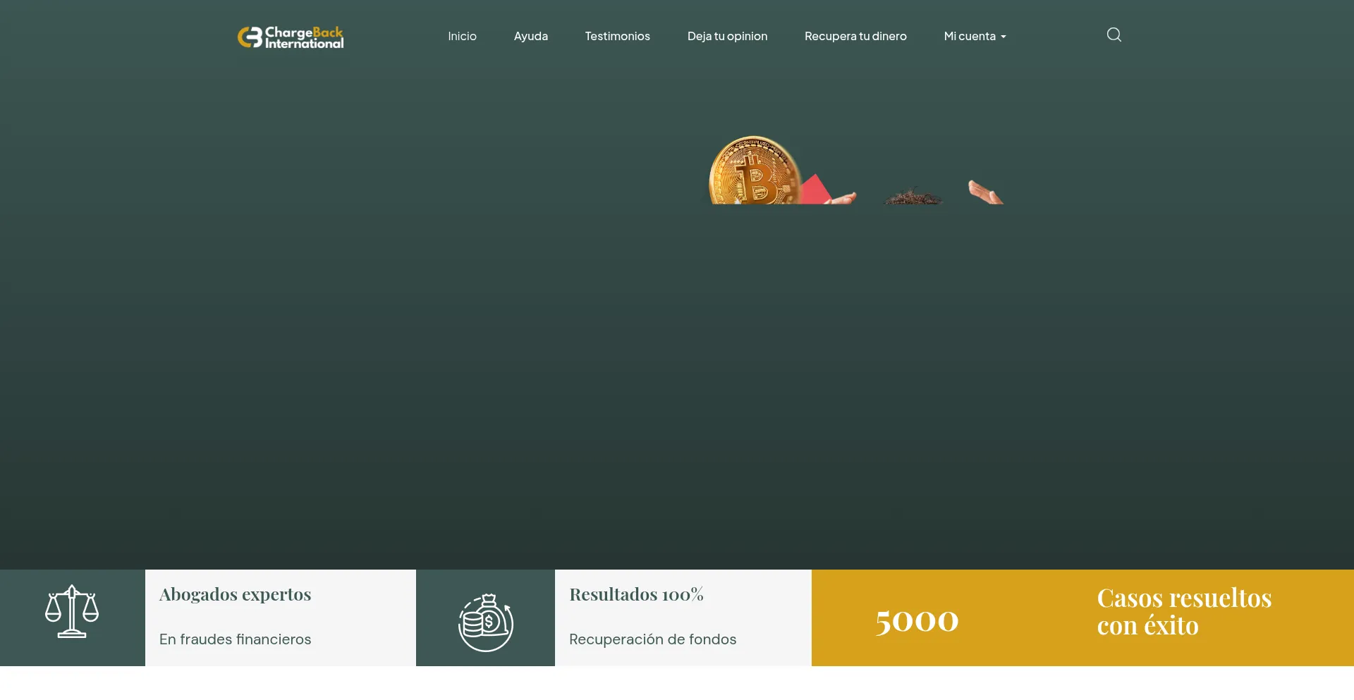 Ist Chargebackinternationnal.com sicher und vertrauenswürdig?