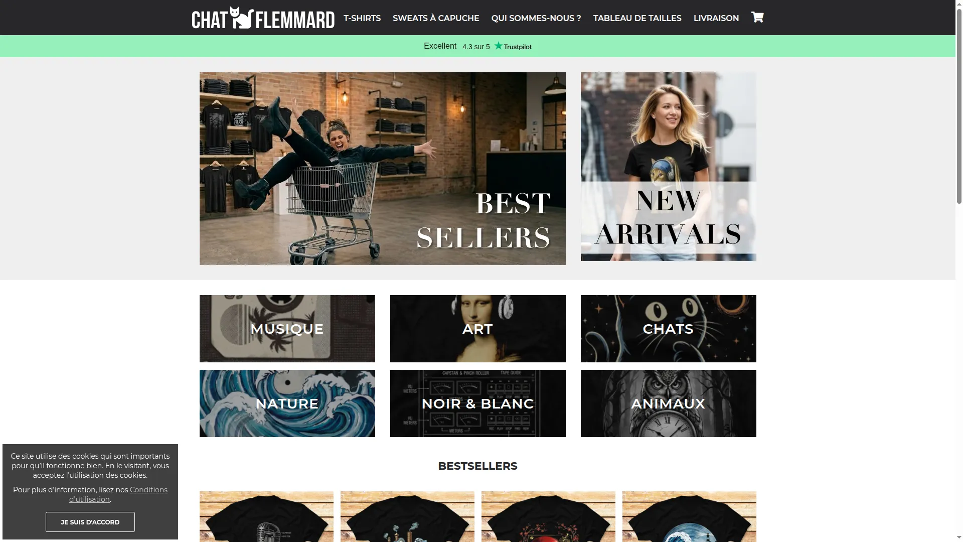 Chatflemmard.com