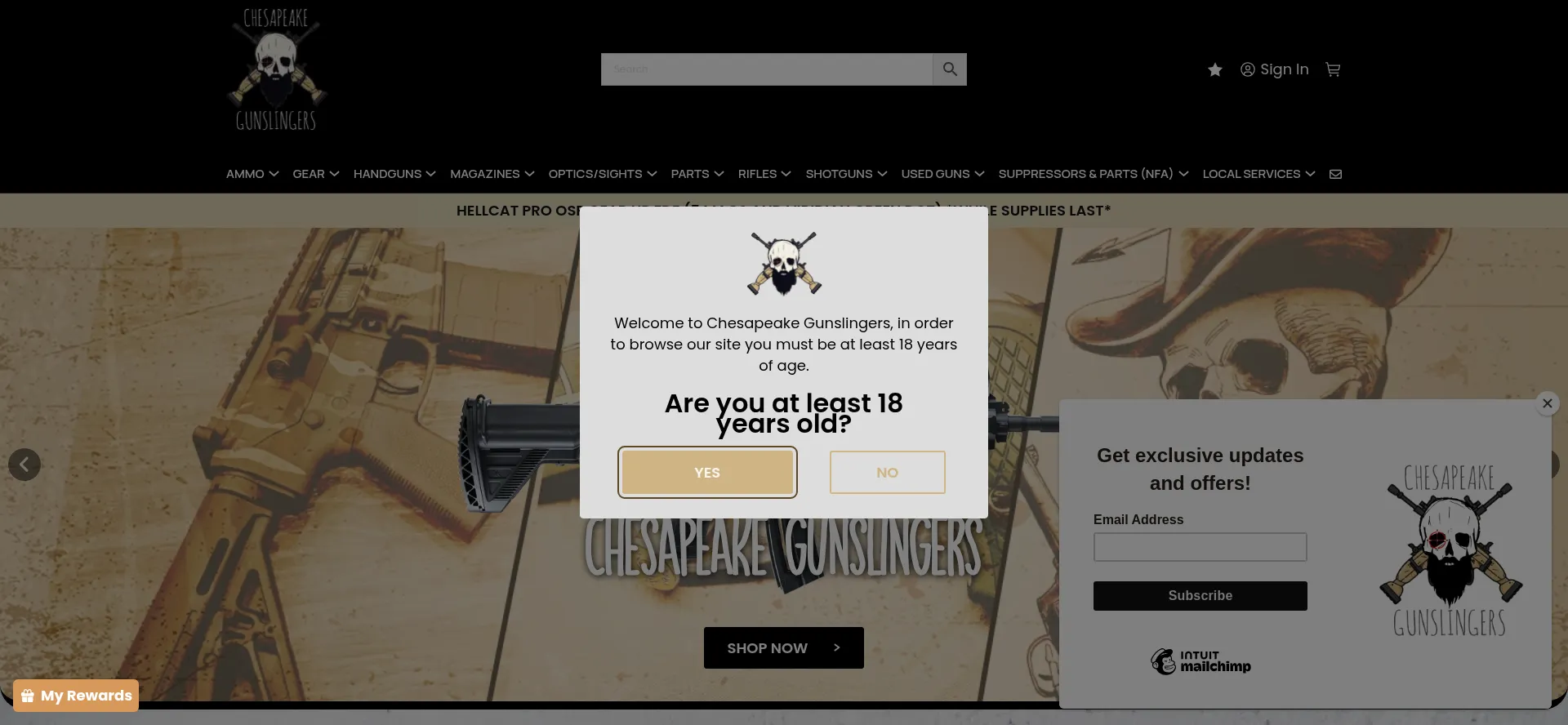 Chesapeakegunslingers.com