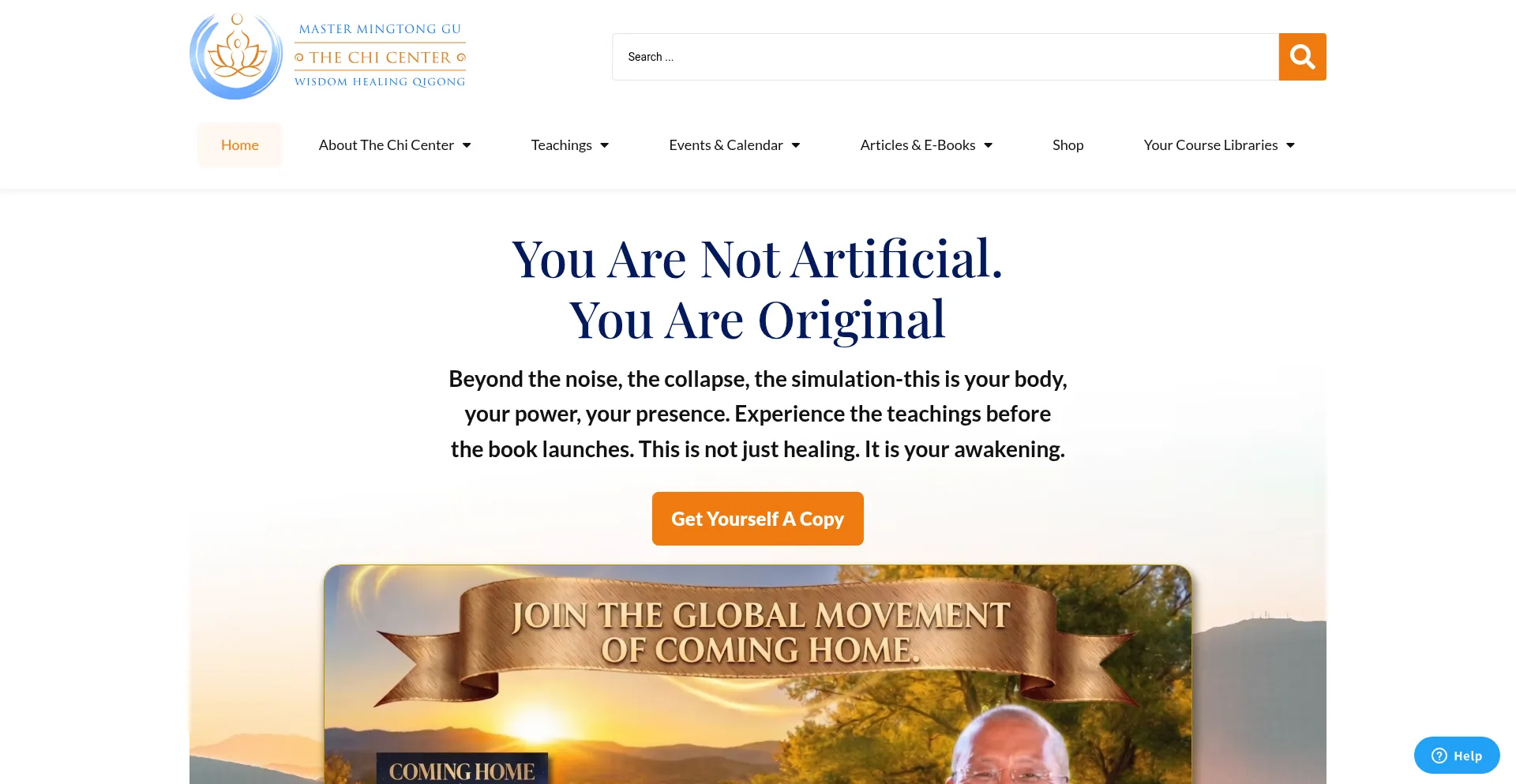 Chicenter.com