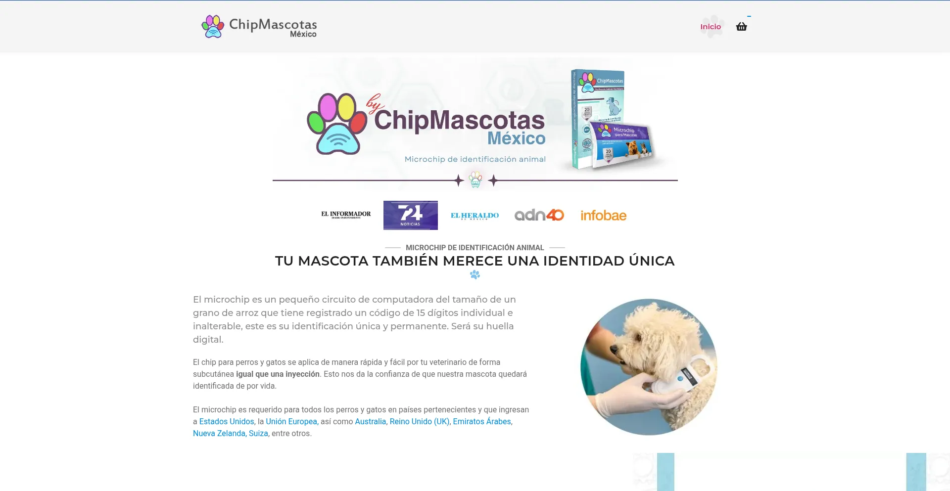 Chipmascotas.com