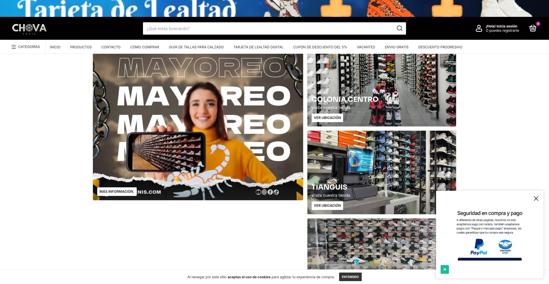 Website screenshot of Chovatenis.com