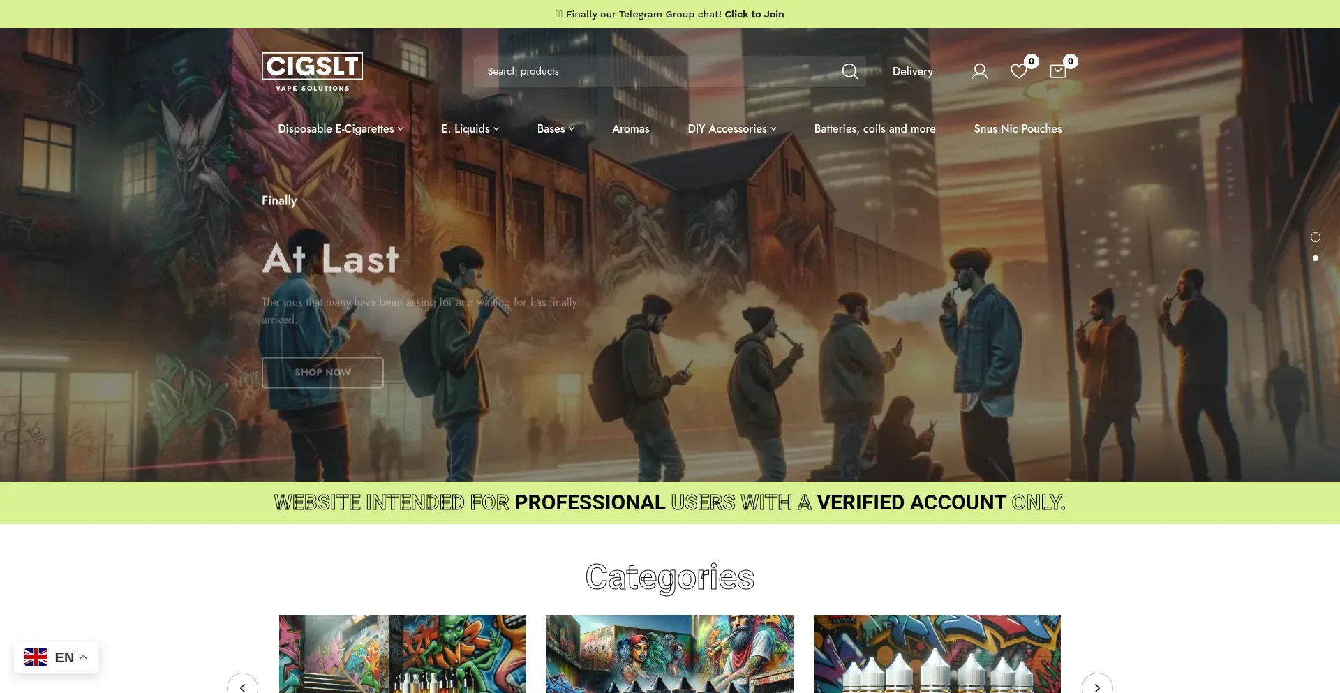 Website screenshot of Cigslt.io