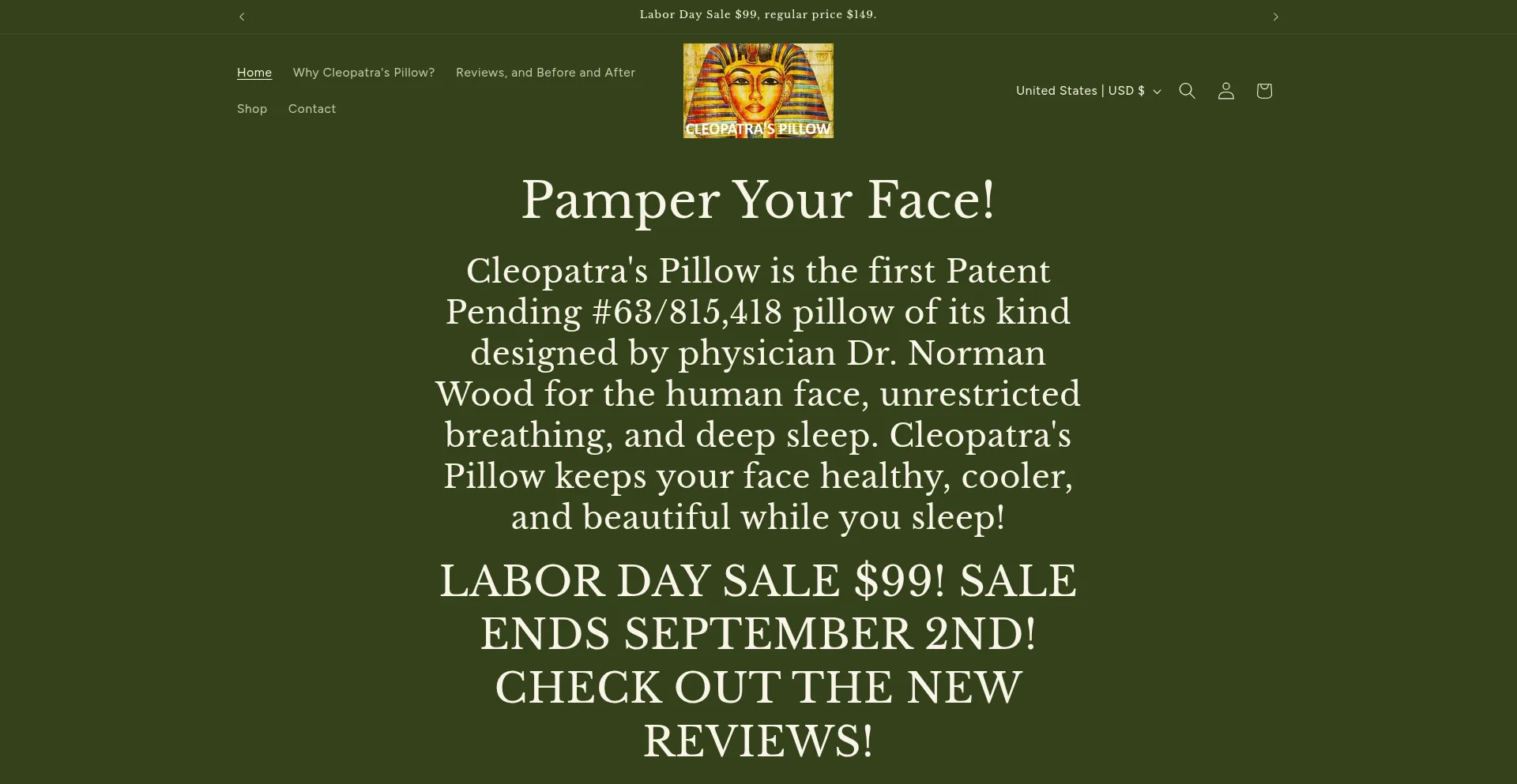Website screenshot of Cleopatraspillow.com