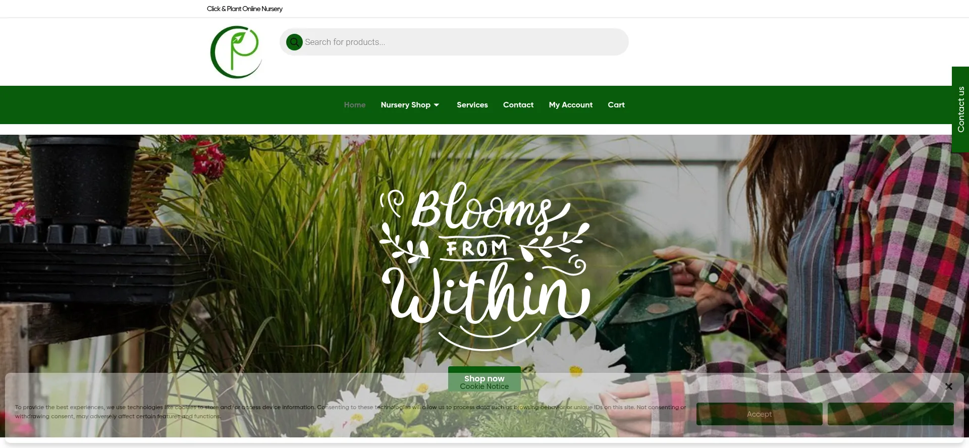 Clicknplant.co.za