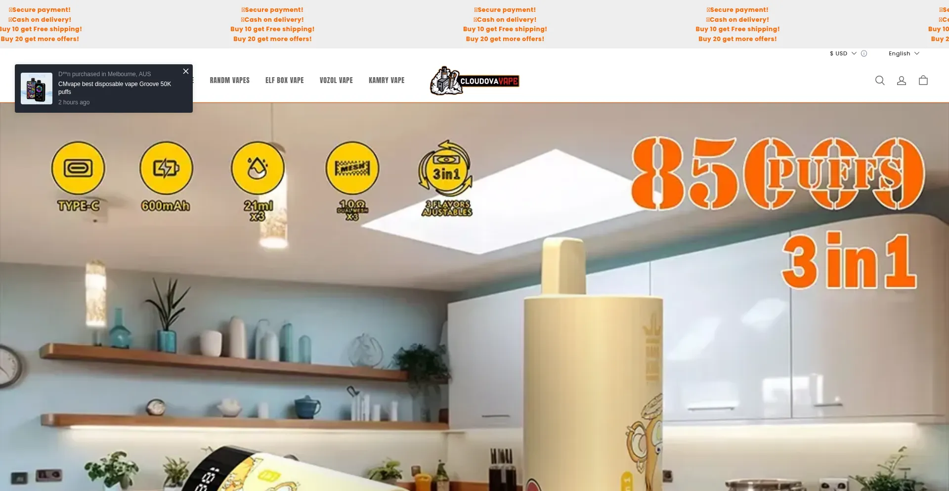 Website screenshot of Cloudovavape.com