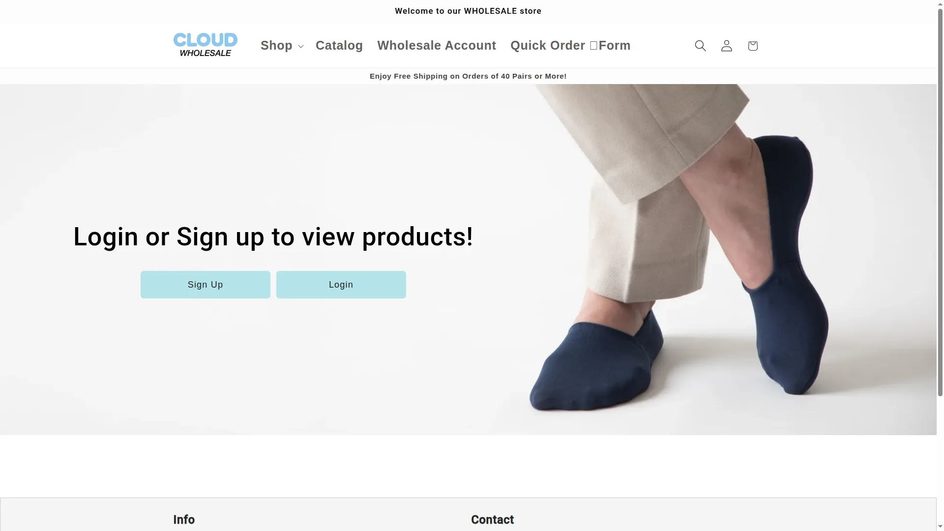 Cloudsocksb2b.com