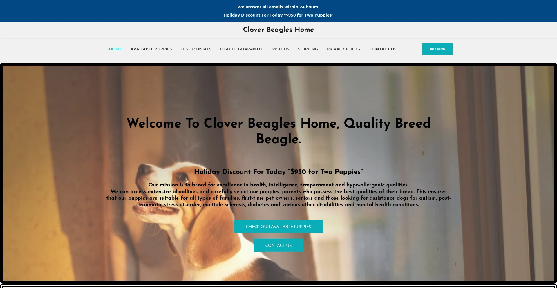 Cloverbeagleshome.com