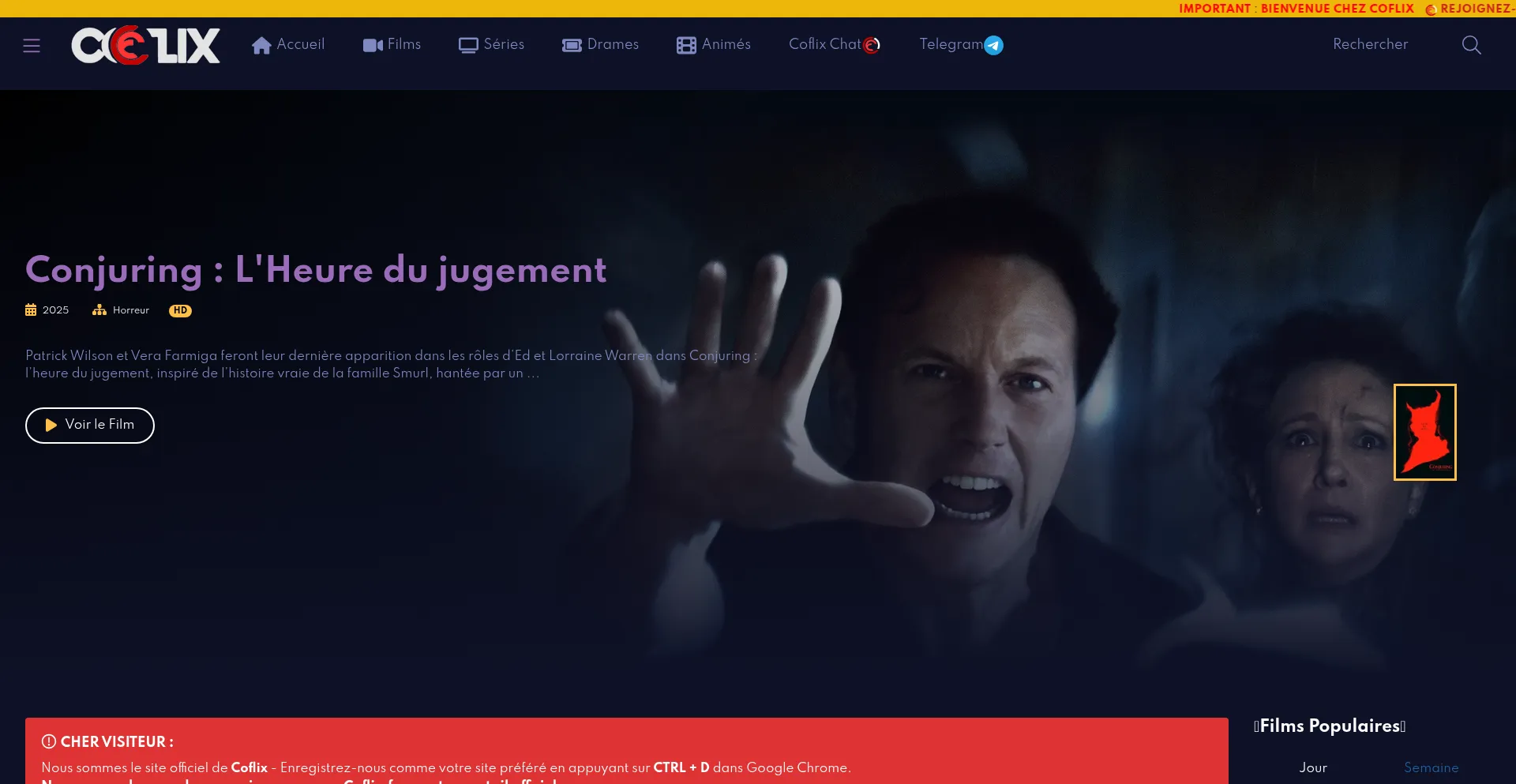 Ist Coflix.tel sicher und vertrauenswürdig?