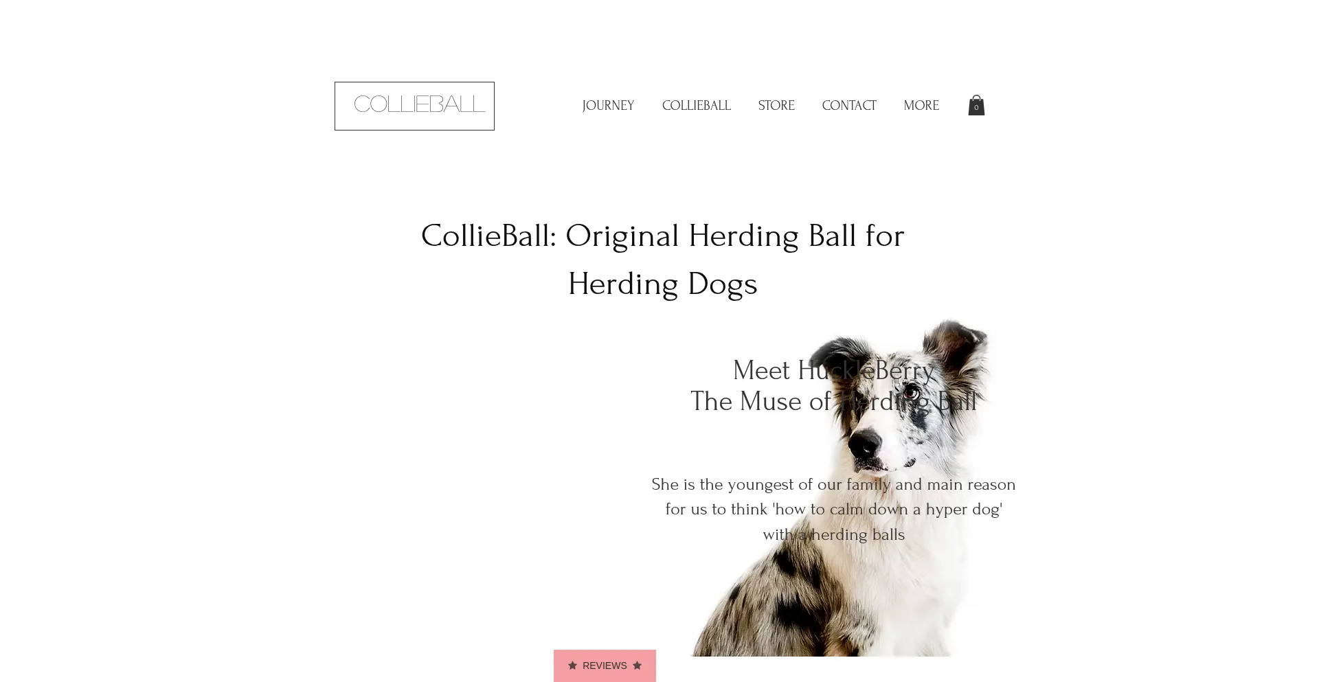 Collieball.com