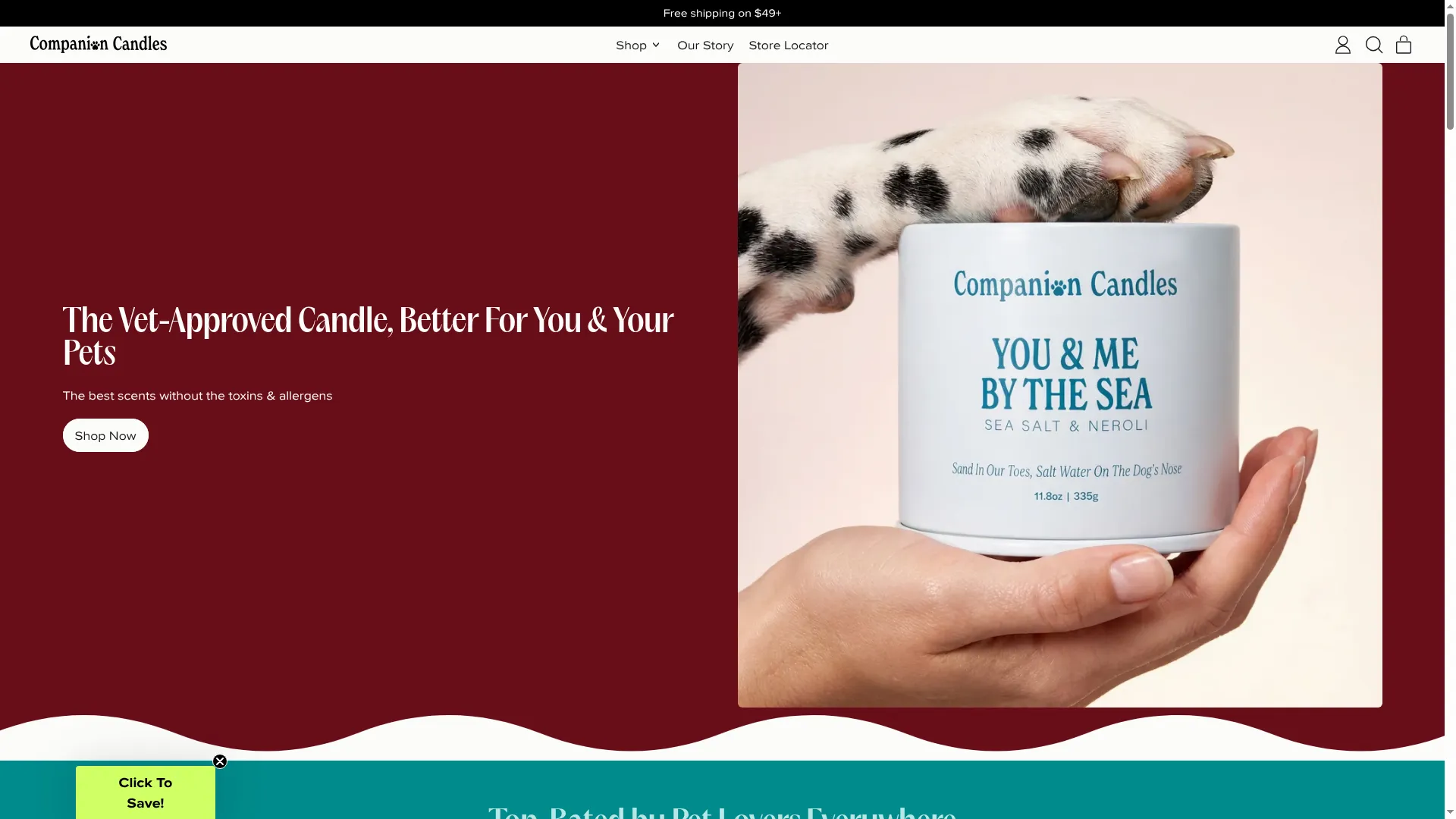 Companioncandles.com