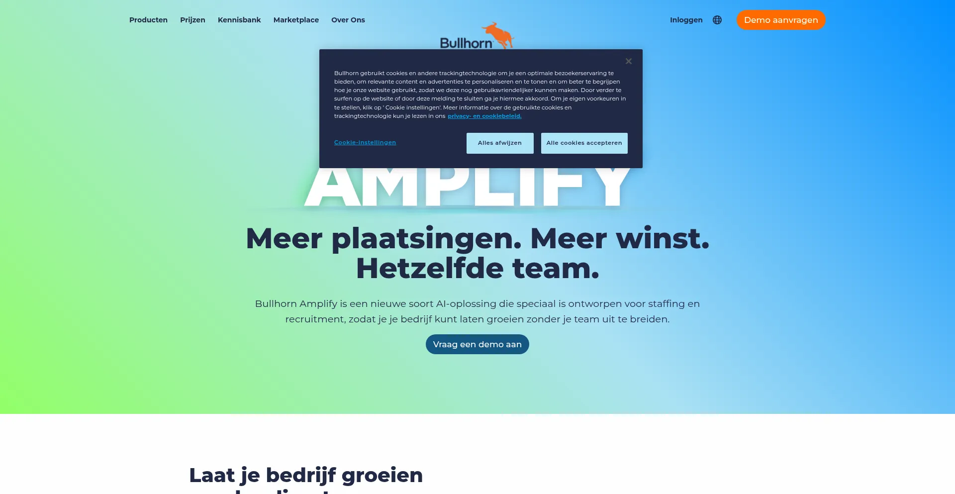 Website screenshot of Connexys.nl