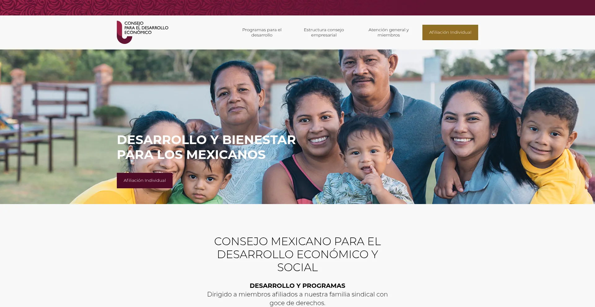 Website screenshot of Consejoparaeldesarrolloeconomico.org.mx