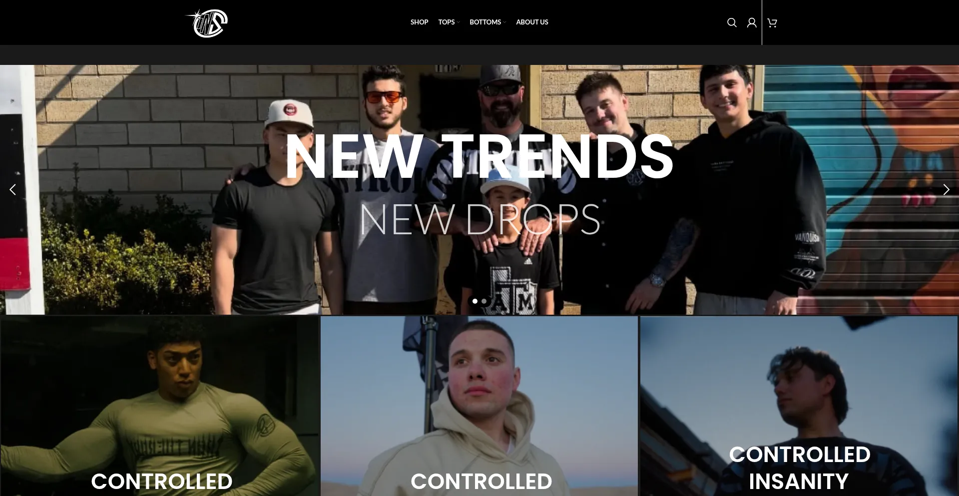 Controlledinsanityshop.com
