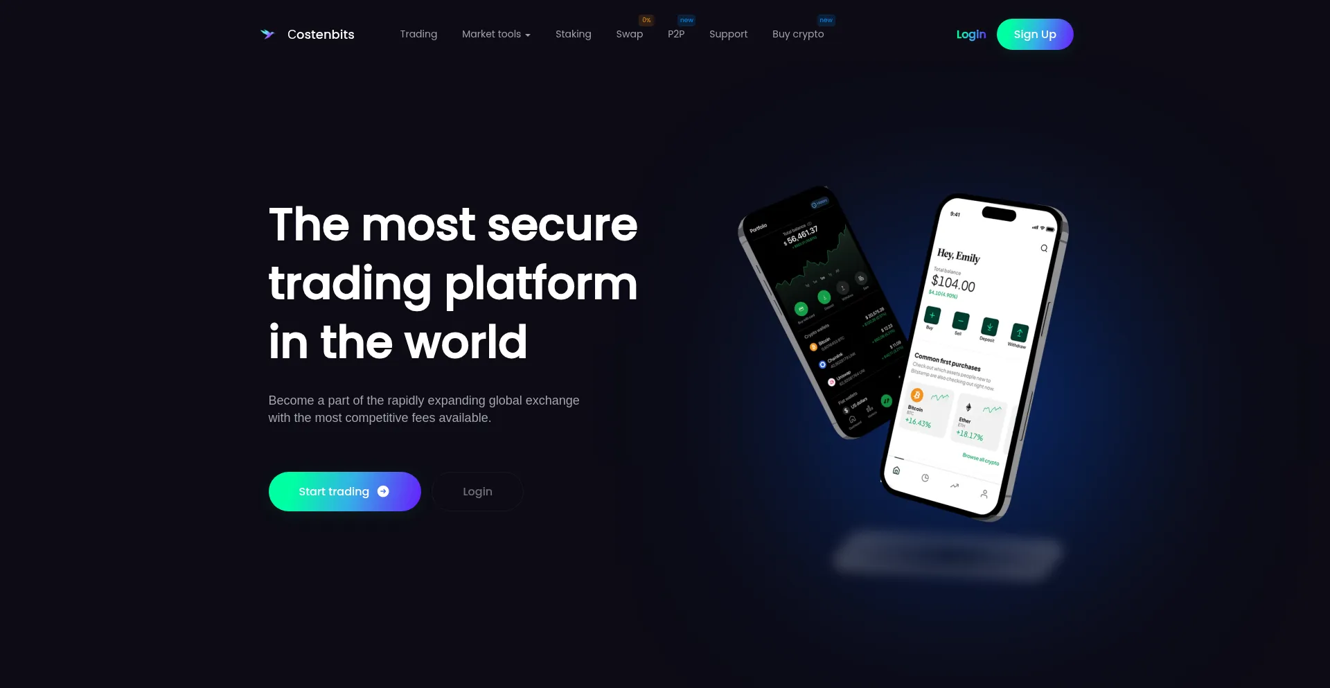 Website screenshot of Costenbits.com