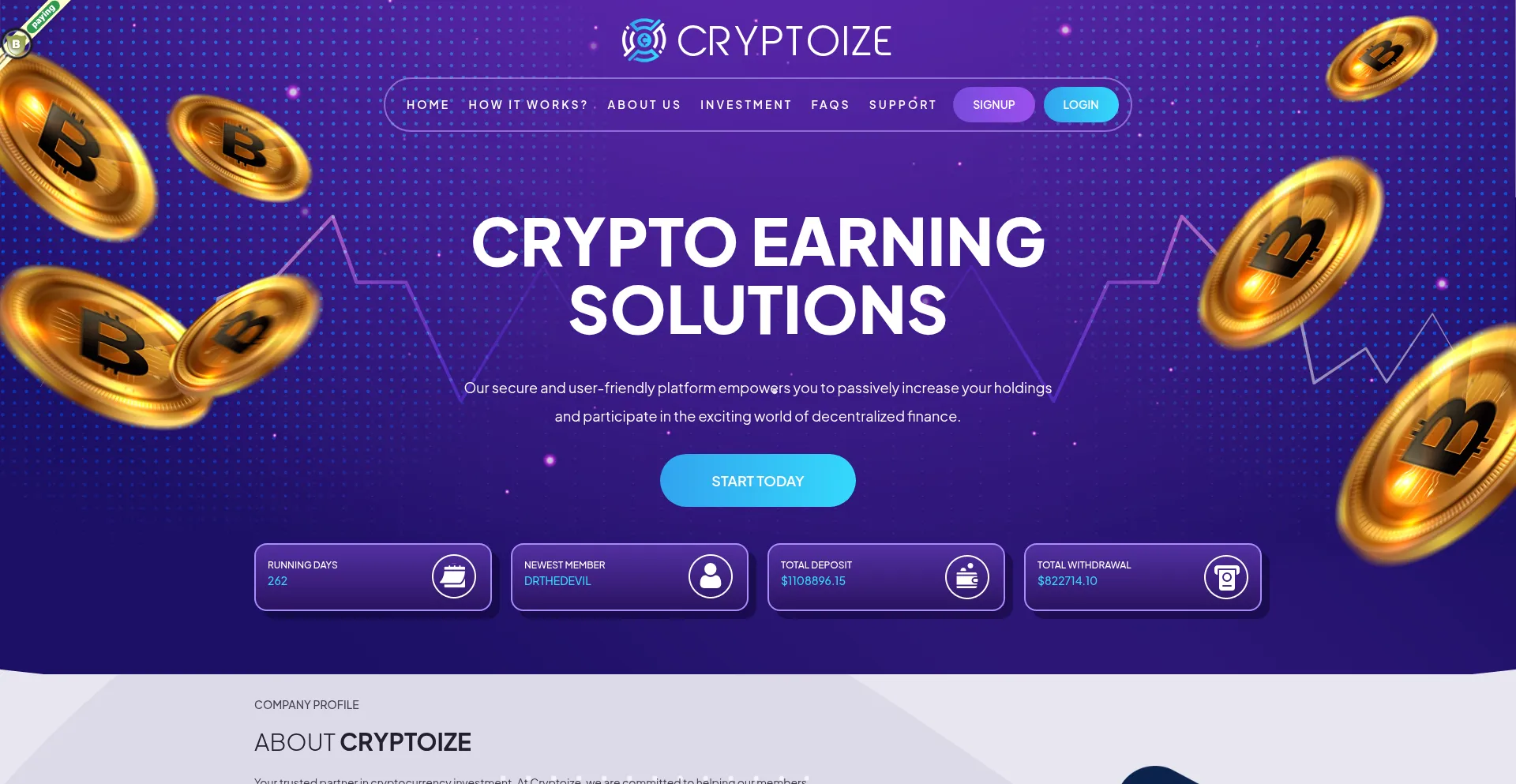 Website screenshot of Cryptoize.net