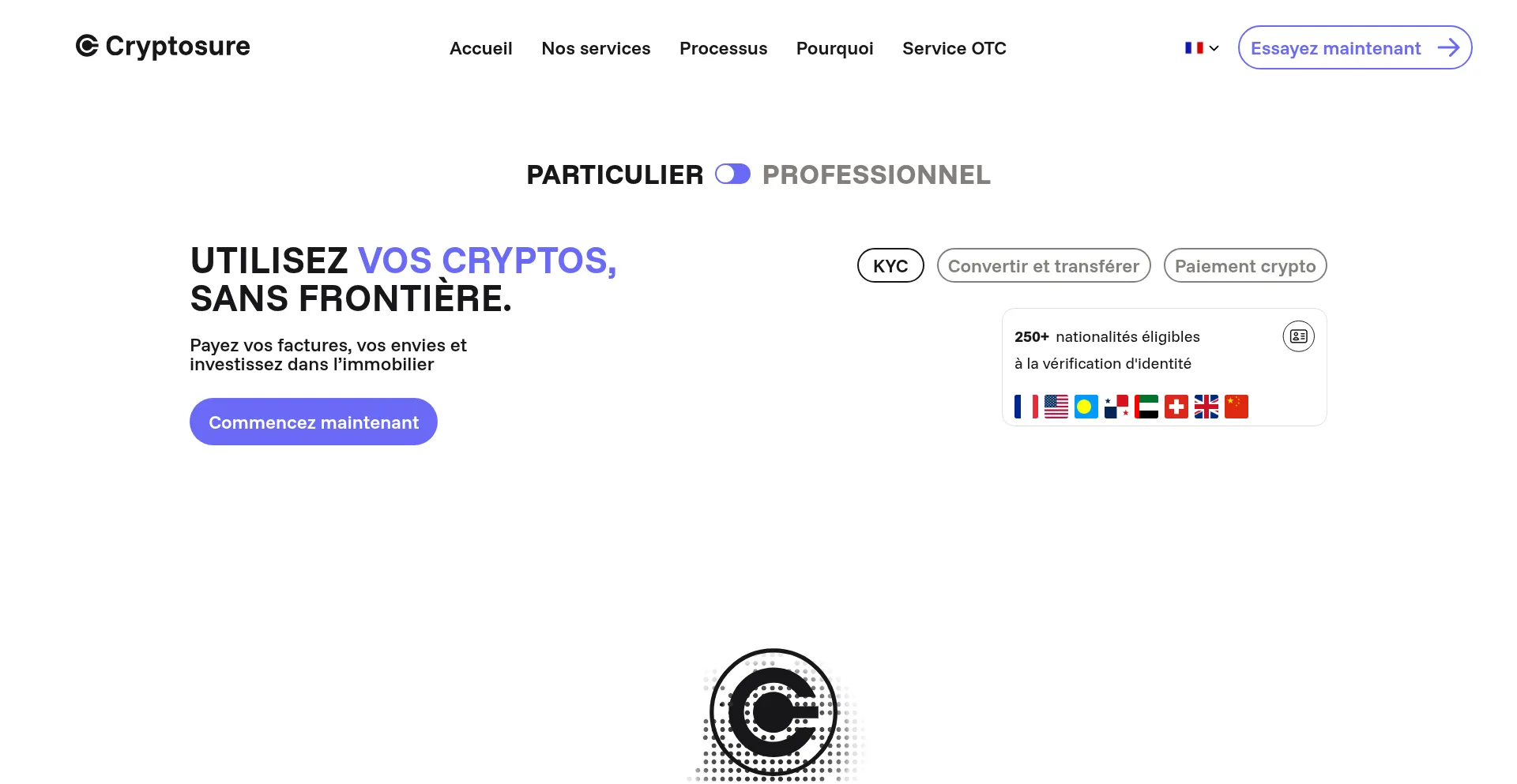 Website screenshot of Cryptosure.fr