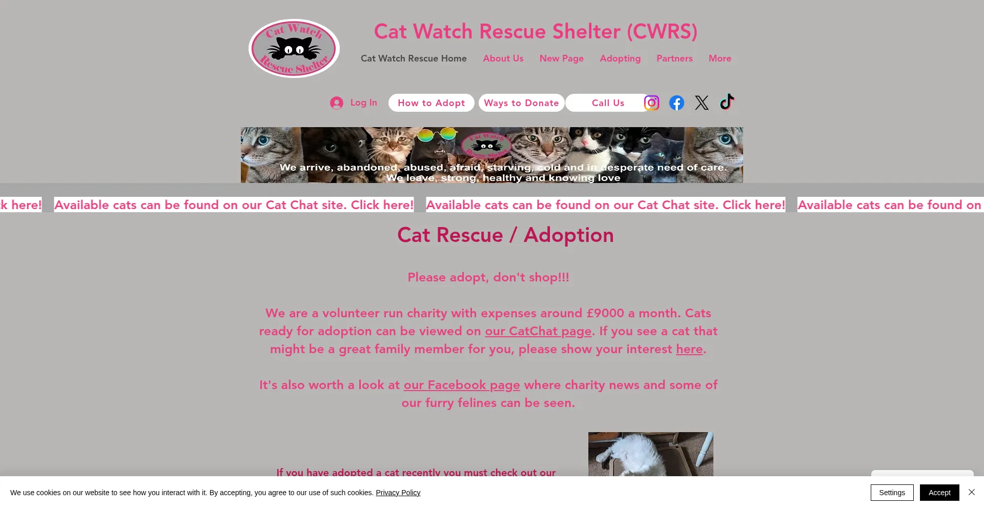 Cwwrescue.org