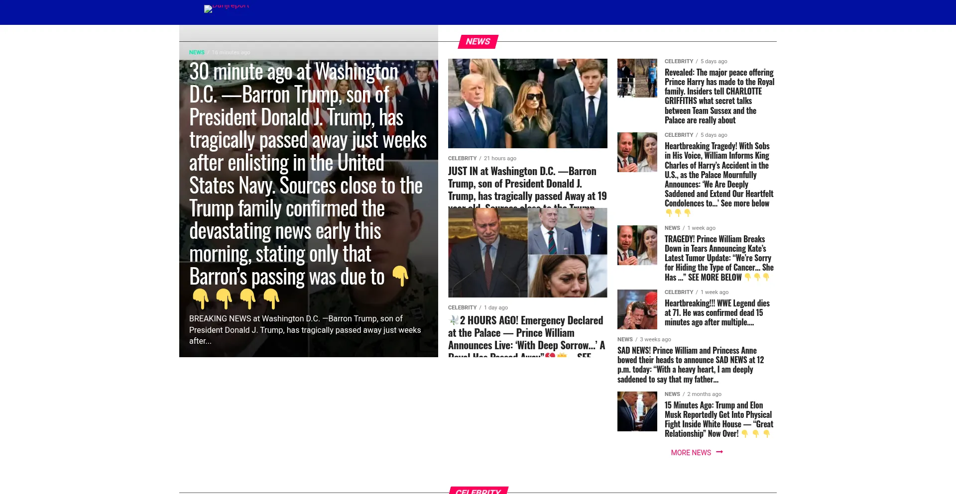 Website screenshot of Danjreport.com